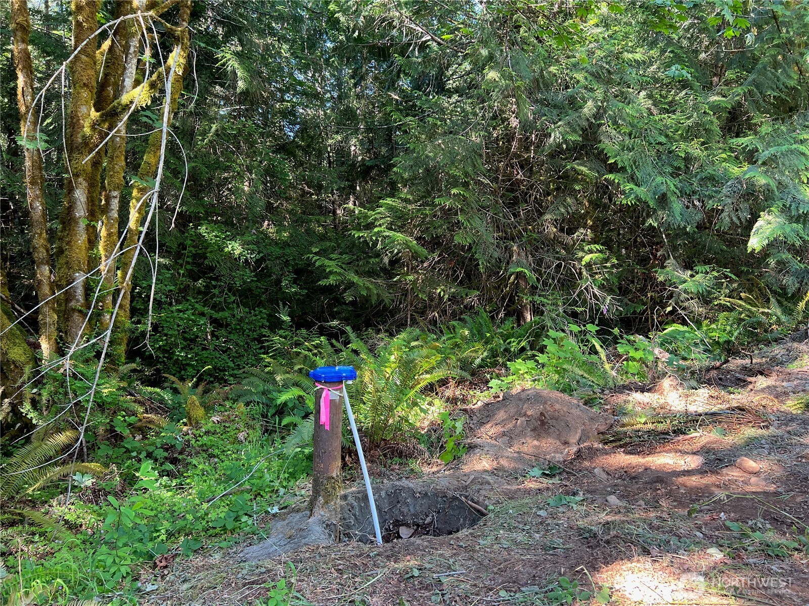992 Sunrise Property Photo 10