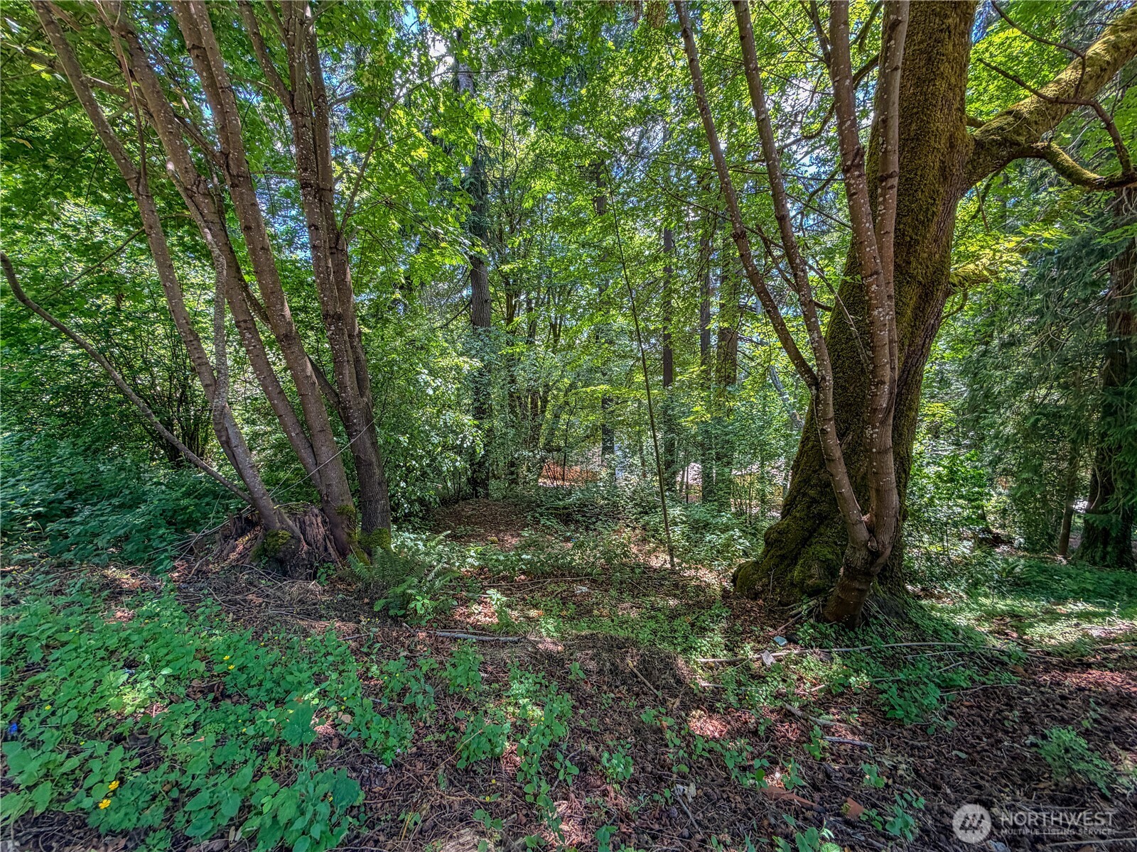 0 Lot 17 Panorama Drive Property Photo 15