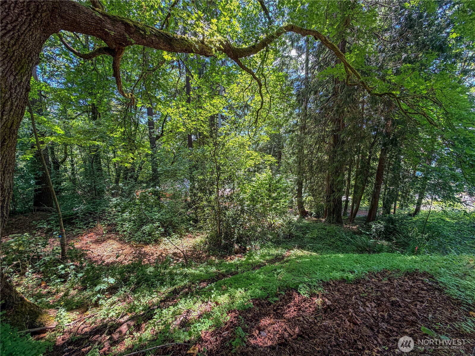 0 Lot 17 Panorama Drive Property Photo 16