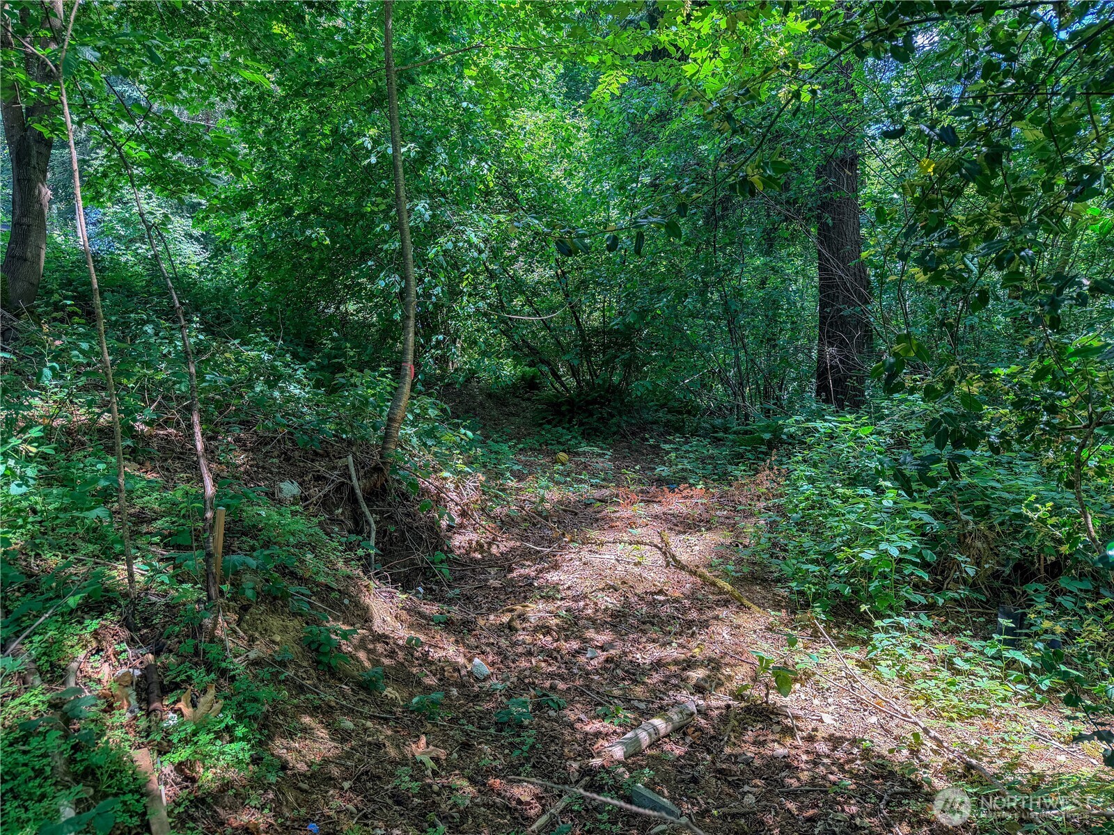 0 Lot 17 Panorama Drive Property Photo 17