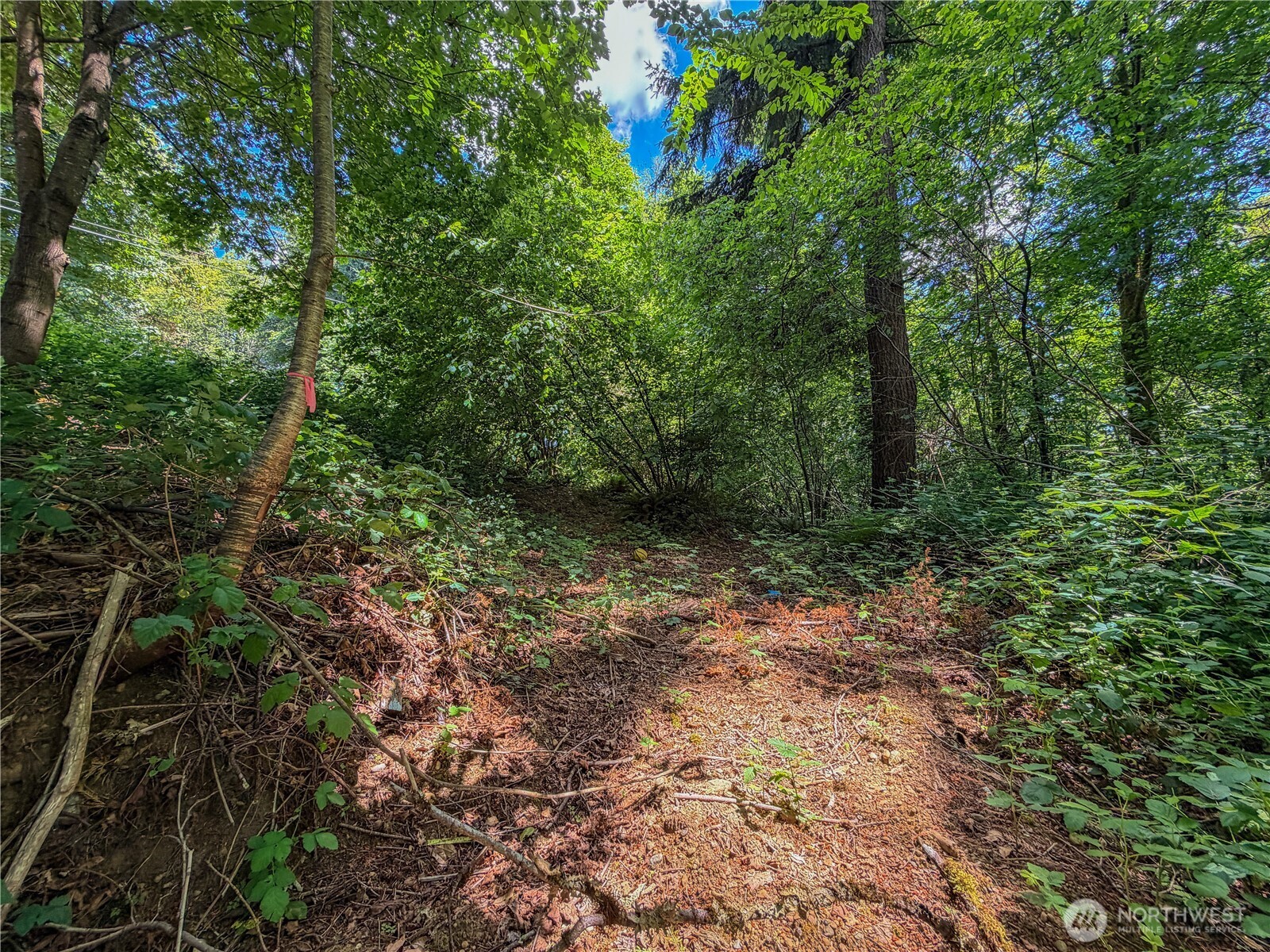 0 Lot 17 Panorama Drive Property Photo 18