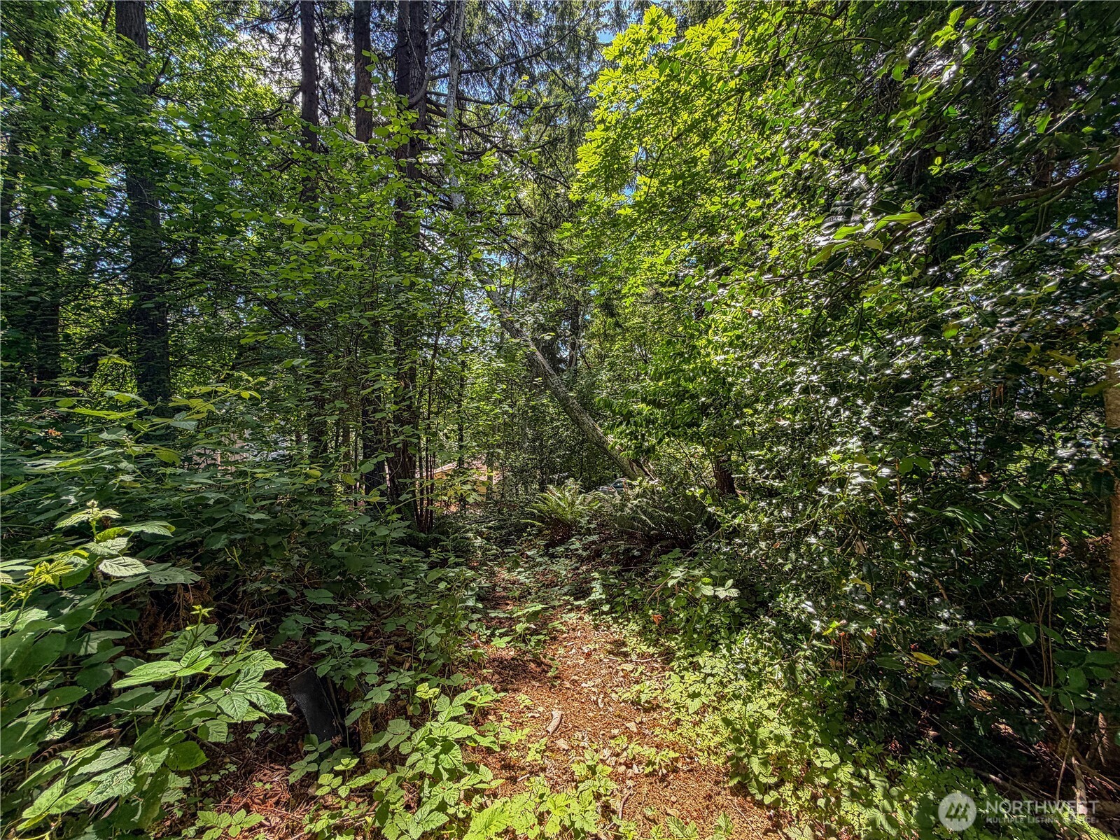 0 Lot 17 Panorama Drive Property Photo 19