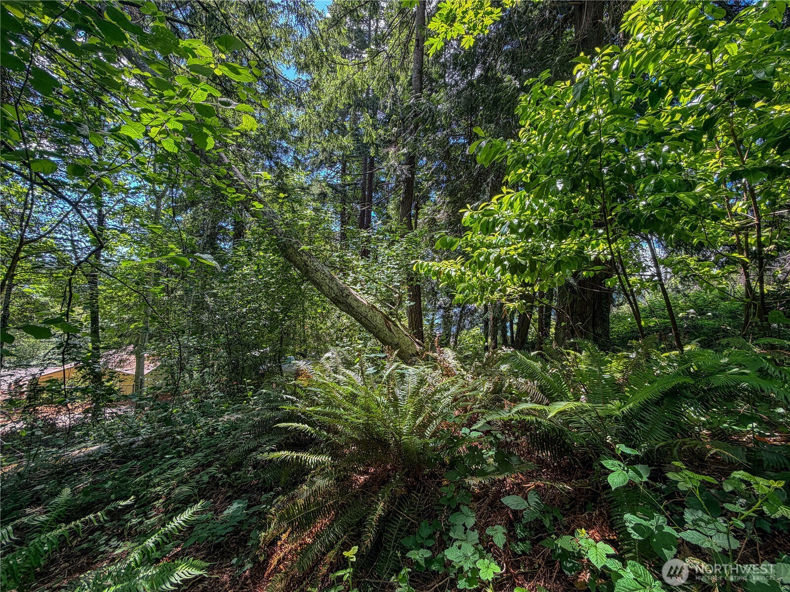 0 Lot 17 Panorama Drive Property Photo 20