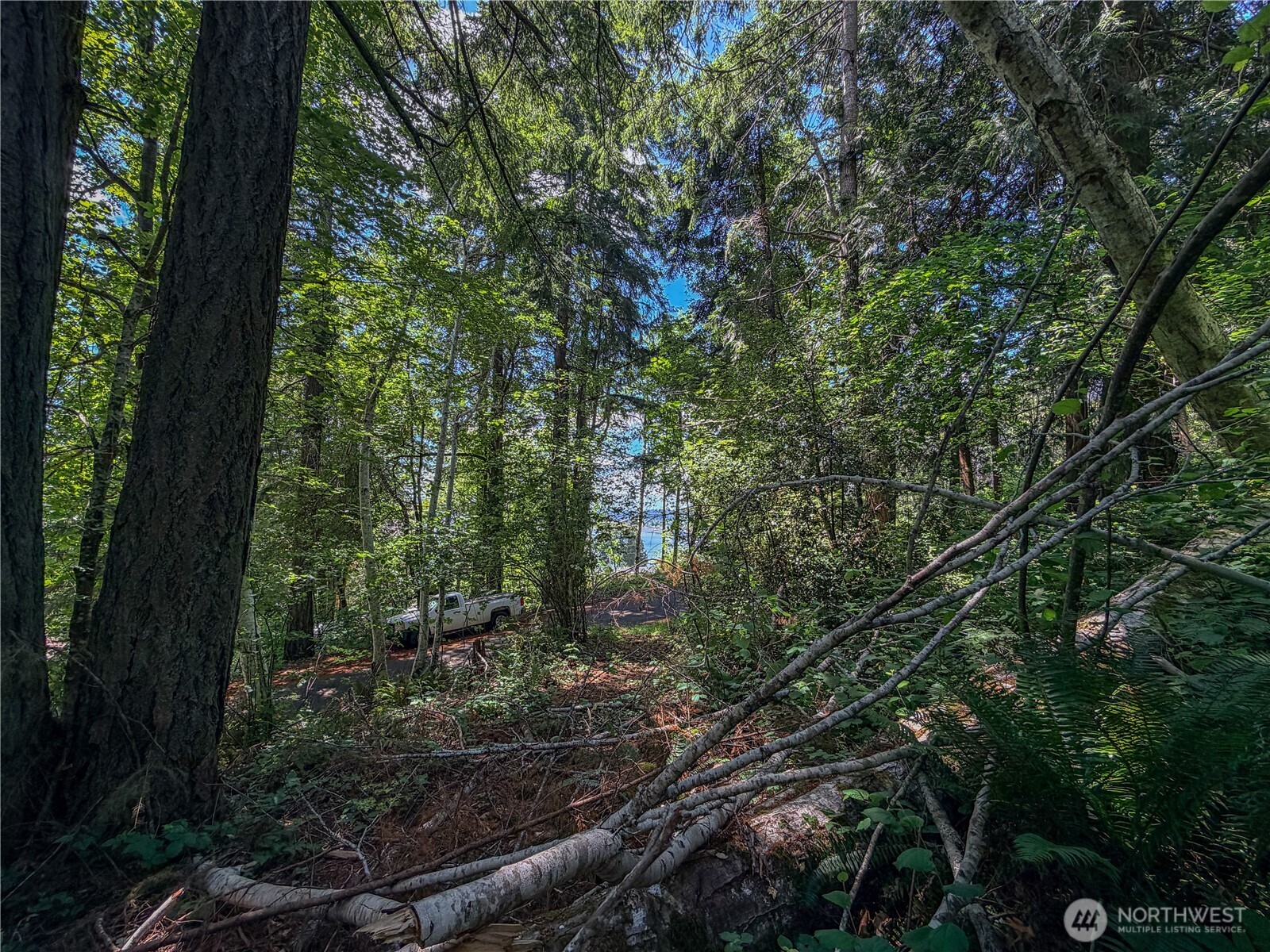 0 Lot 17 Panorama Drive Property Photo 21