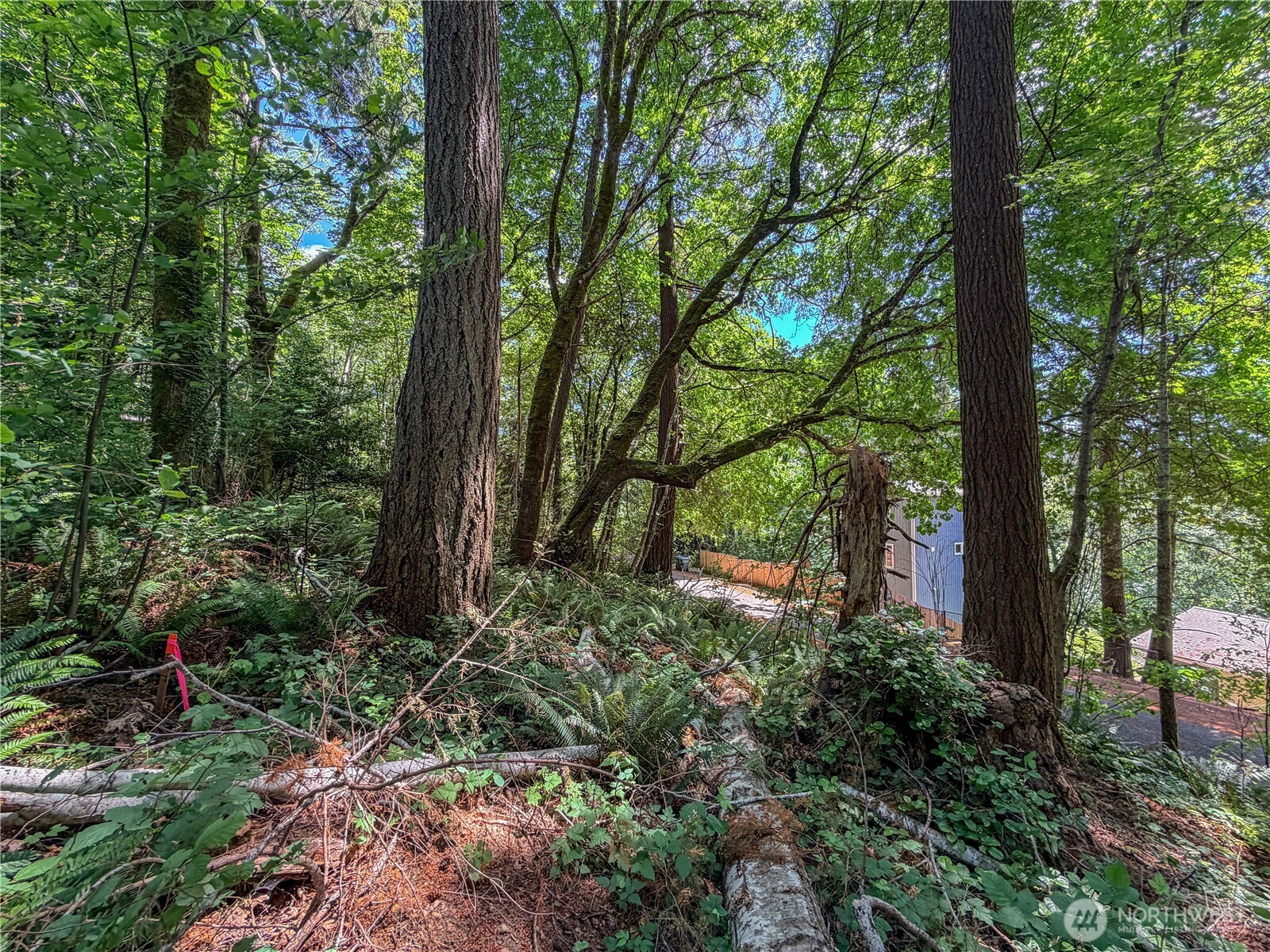 0 Lot 17 Panorama Drive Property Photo 23