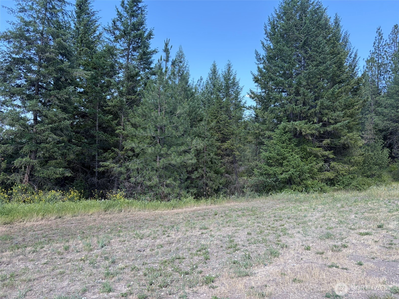 88 Little Bear Road Property Photo 27