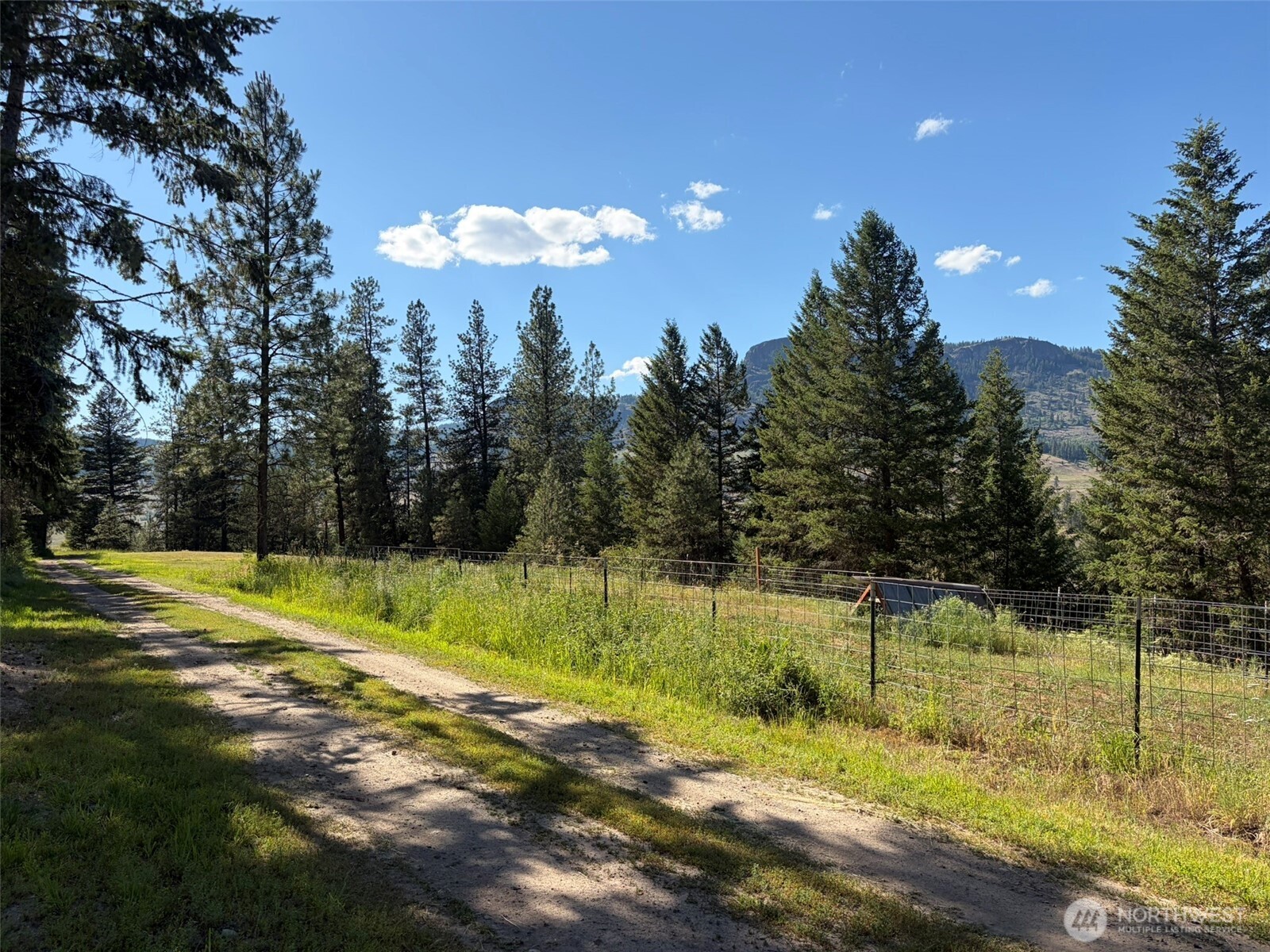 88 Little Bear Road Property Photo 29