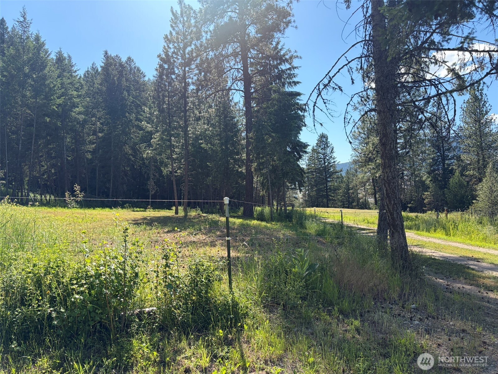88 Little Bear Road Property Photo 32