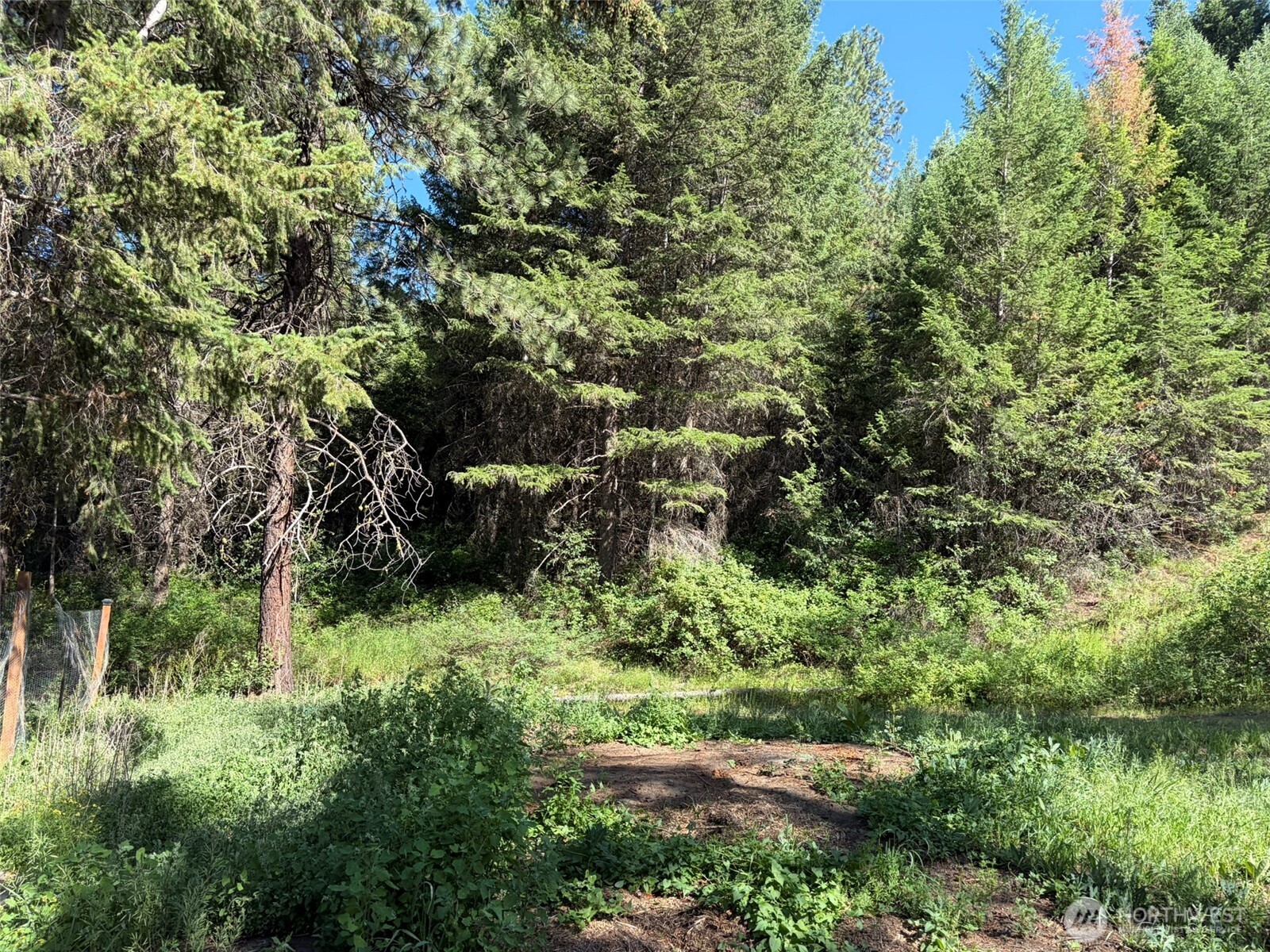 88 Little Bear Road Property Photo 34