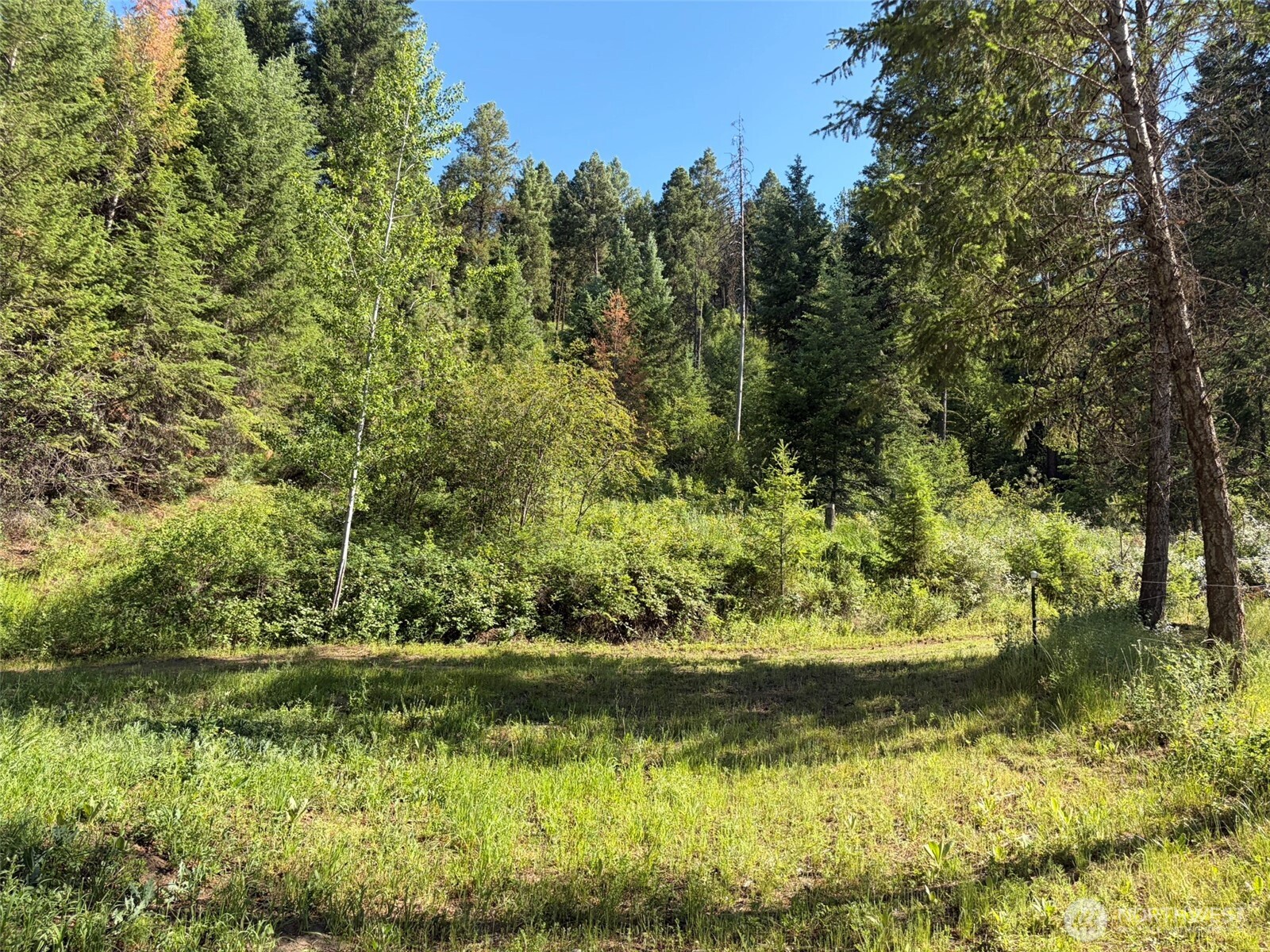 88 Little Bear Road Property Photo 35