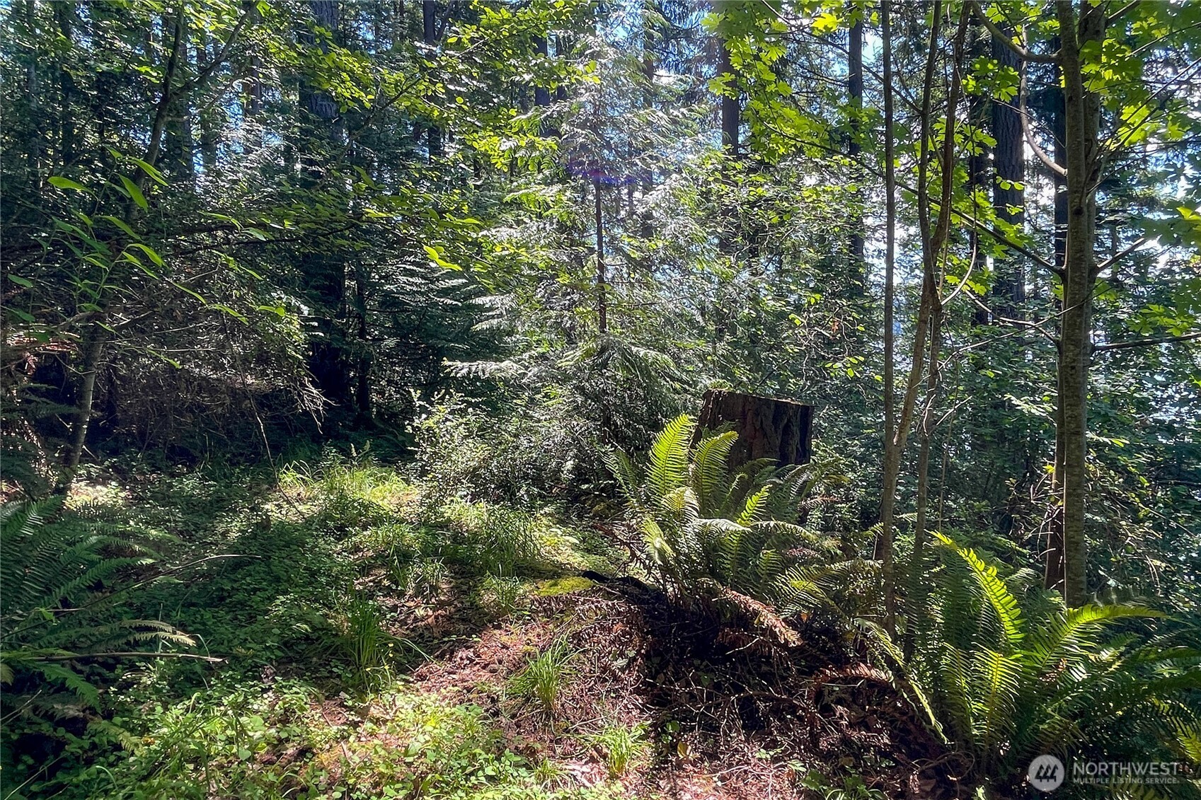 3 Nw Sulphur Springs Lot 3 Property Photo 23
