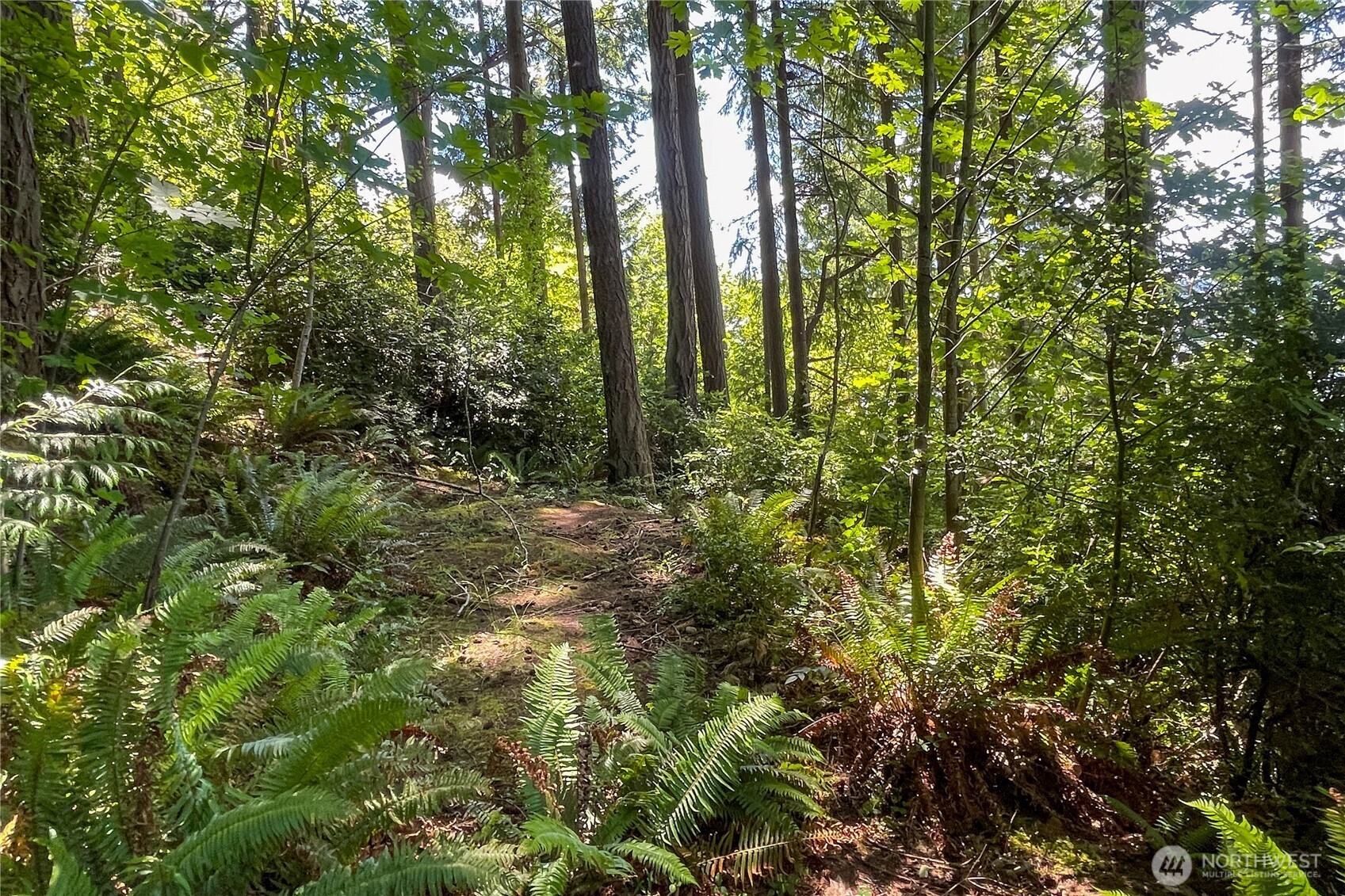 3 Nw Sulphur Springs Lot 3 Property Photo 24