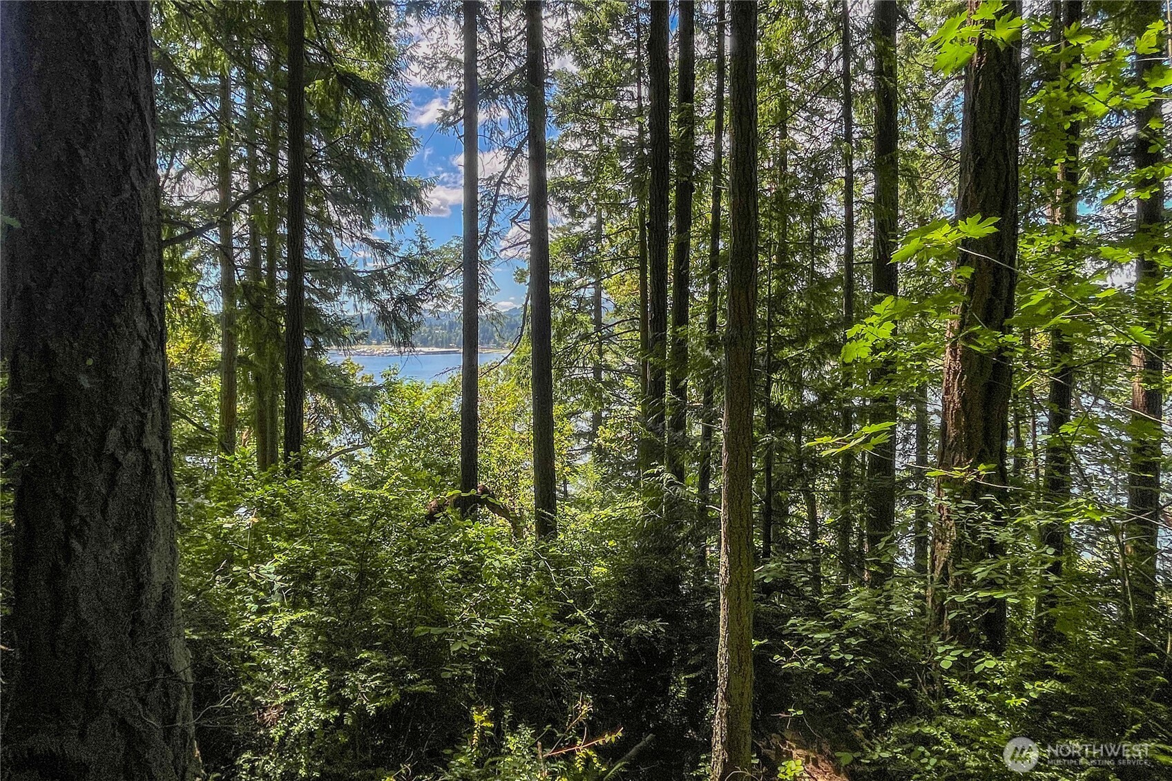 3 Nw Sulphur Springs Lot 3 Property Photo 25