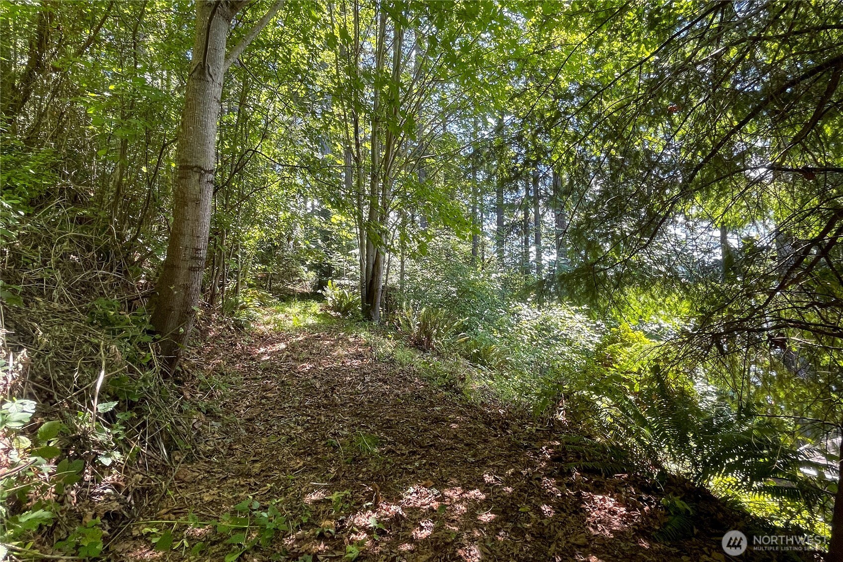 3 Nw Sulphur Springs Lot 3 Property Photo 26