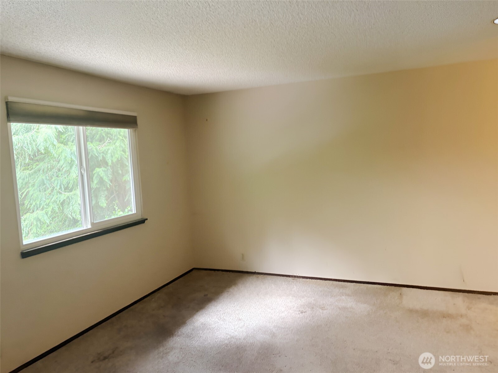 24404 Se Mirrormont Boulevard Property Photo 21