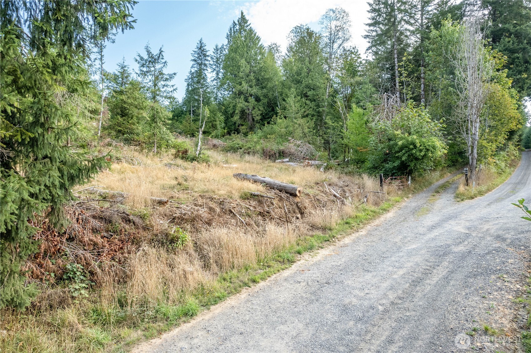 0 Mill Creek Road Property Photo 3