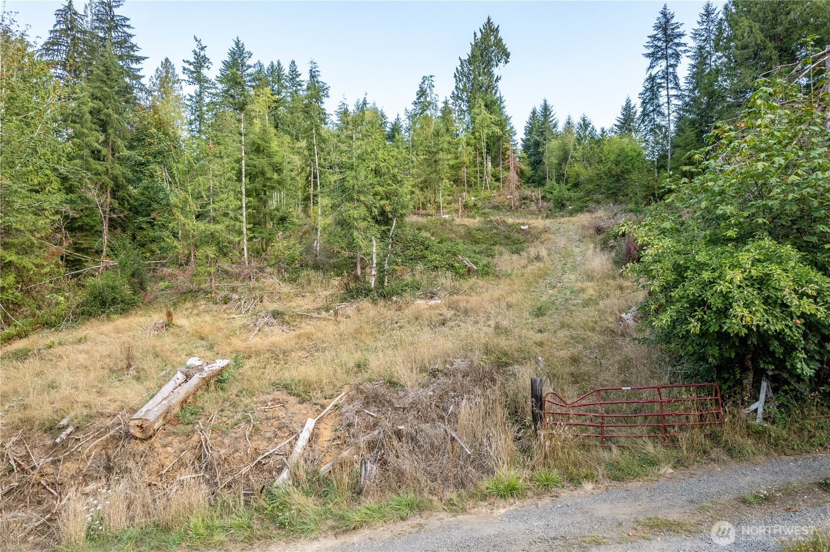 0 Mill Creek Road Property Photo 4