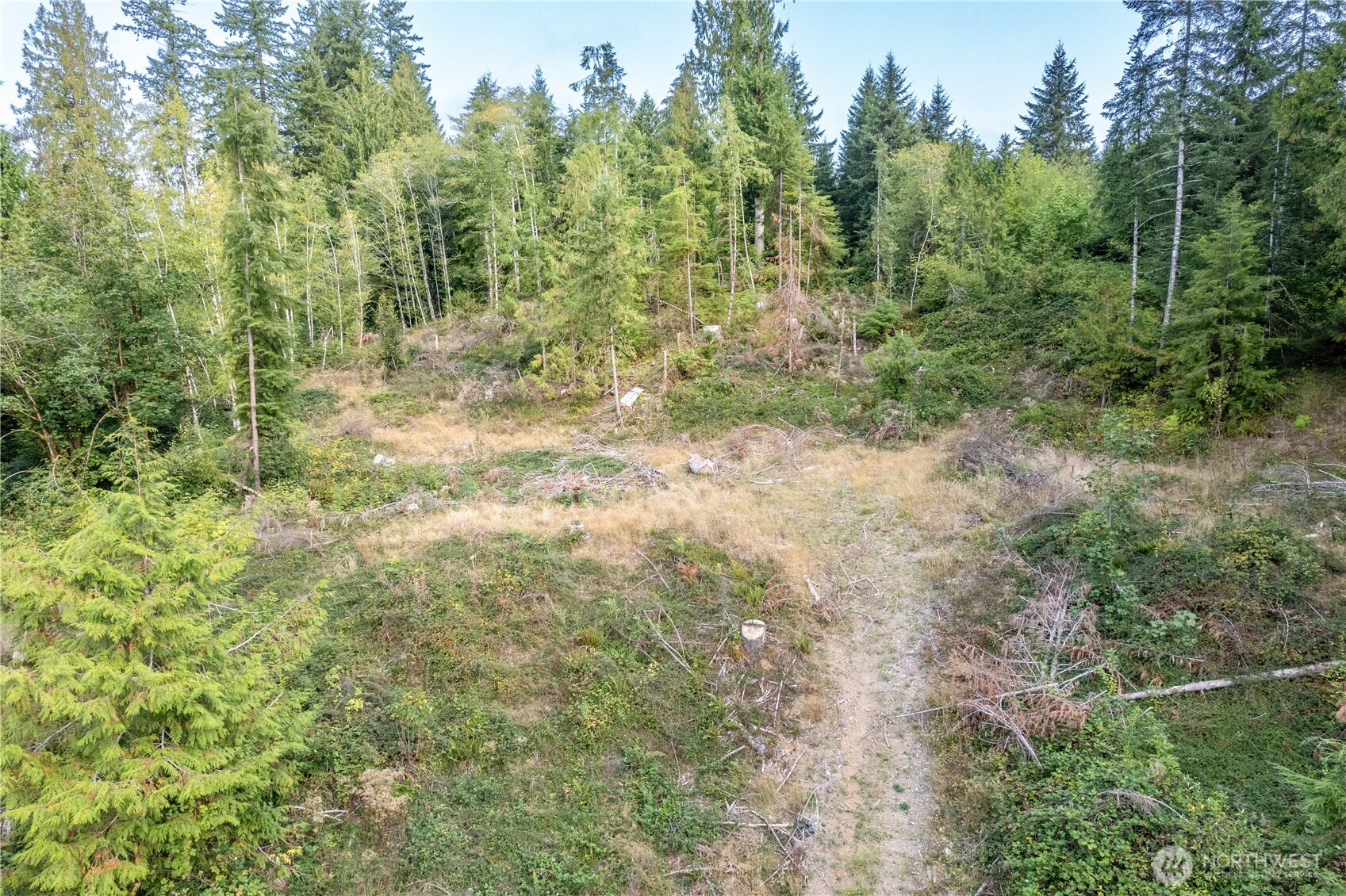 0 Mill Creek Road Property Photo 6