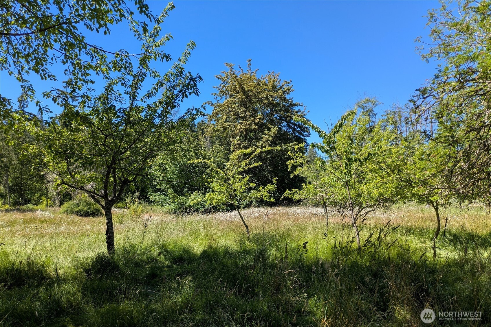 1082 Taylor Cutoff Road Property Photo 12