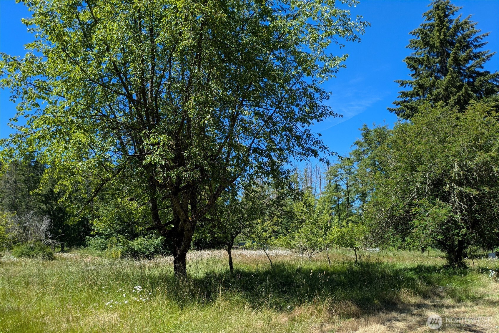 1082 Taylor Cutoff Road Property Photo 25