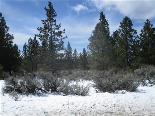 6 Xx Chipmunk Trail Property Photo 1