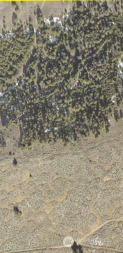 6 Xx Chipmunk Trail Property Photo 2