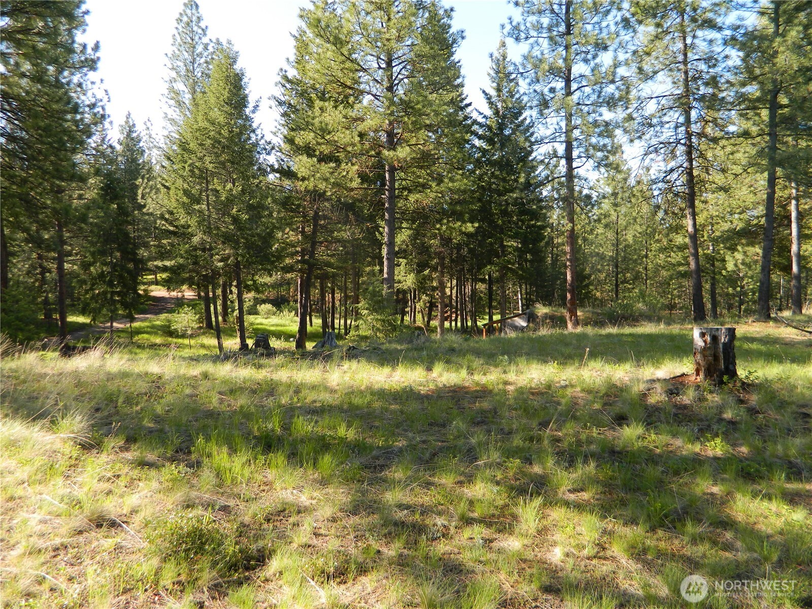 151 Indian Mary Loop Road Property Photo 4