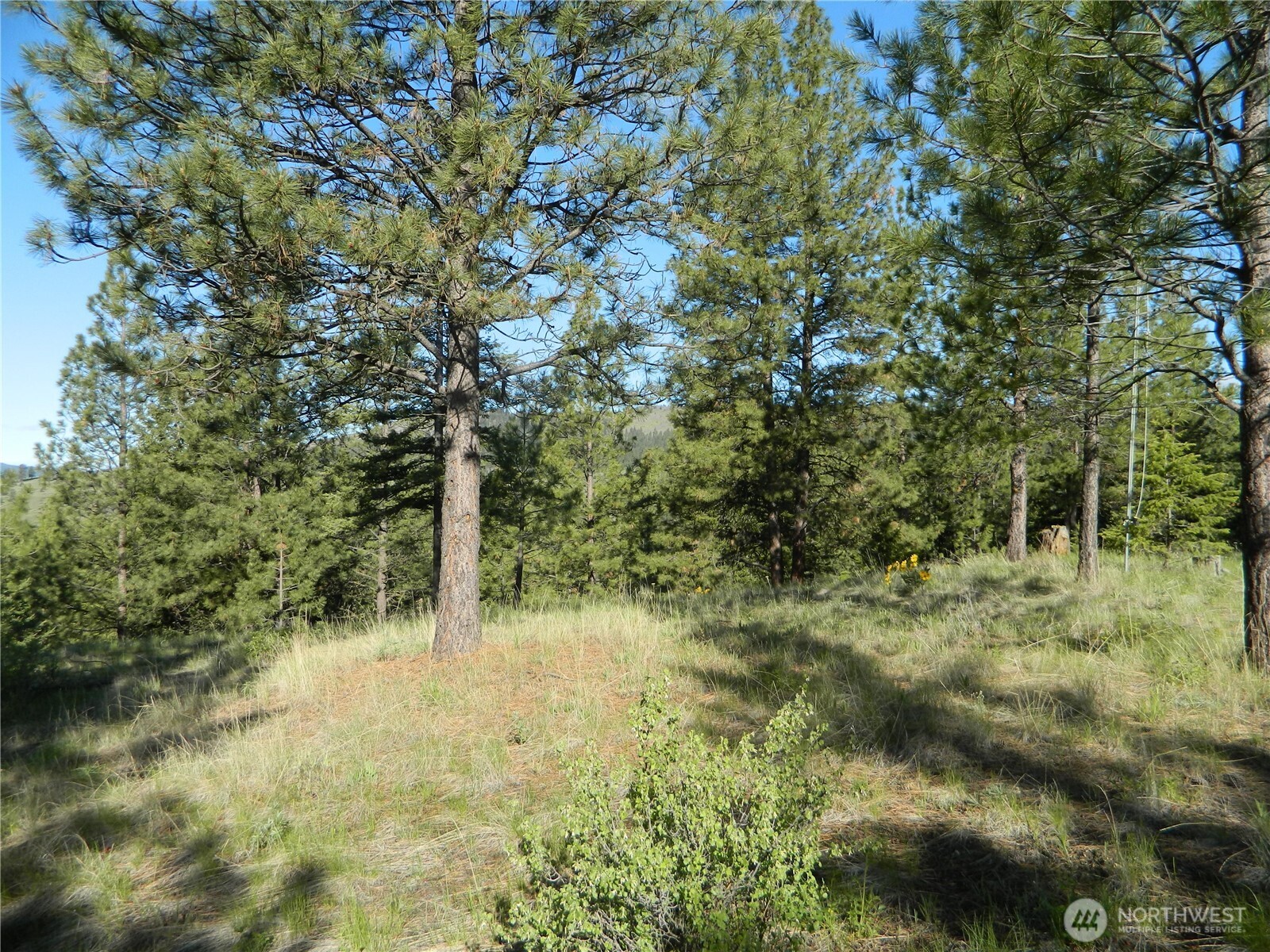 151 Indian Mary Loop Road Property Photo 10