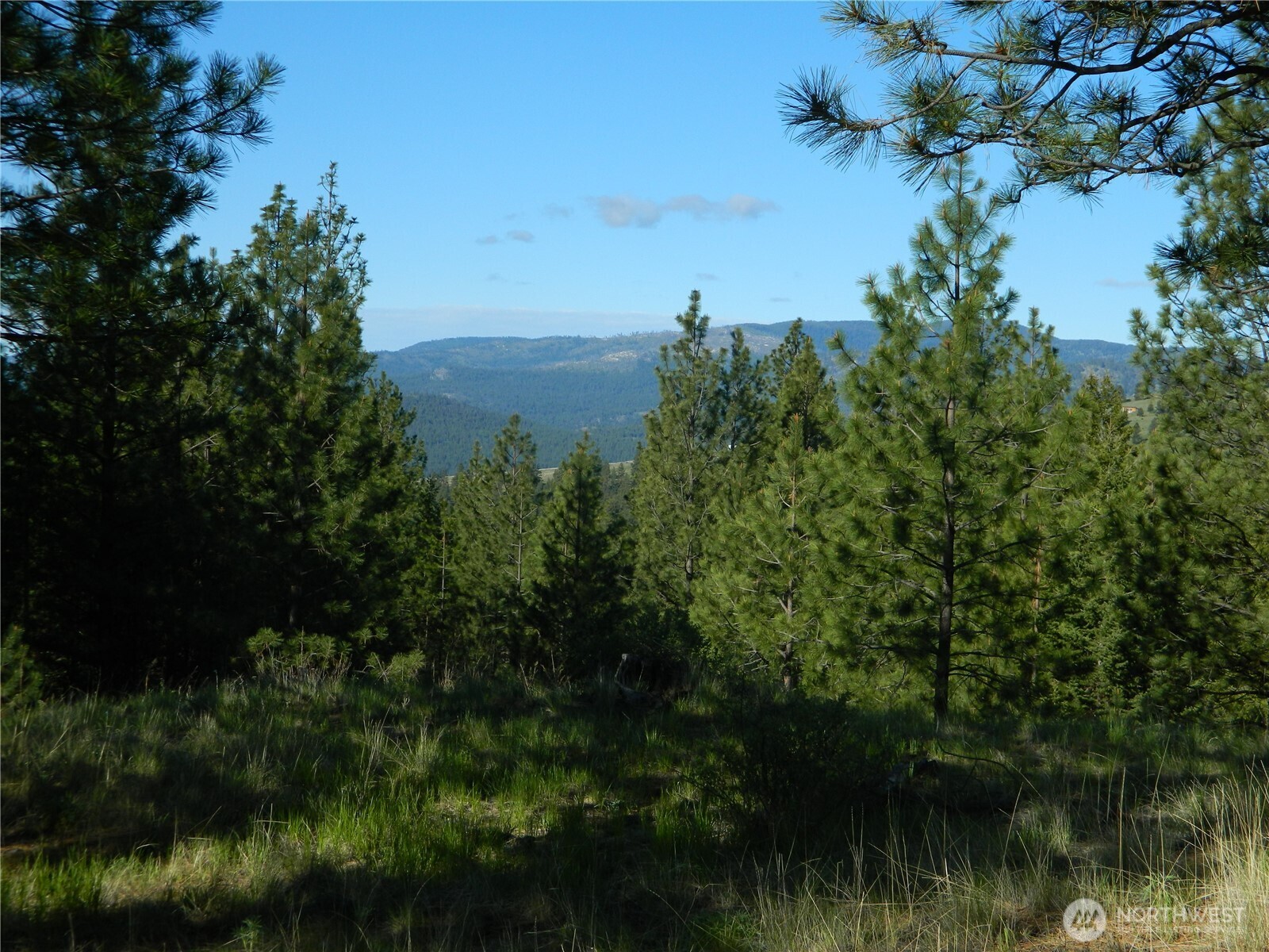 151 Indian Mary Loop Road Property Photo 11
