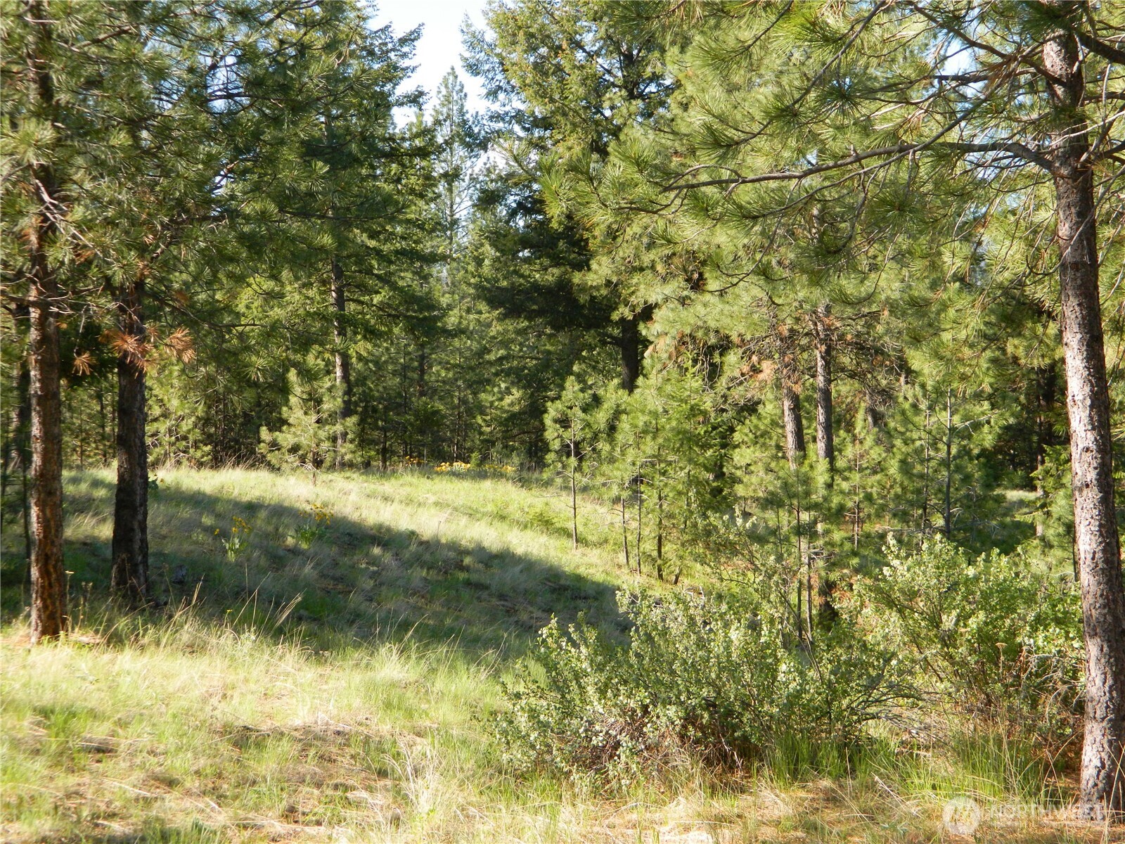 151 Indian Mary Loop Road Property Photo 12