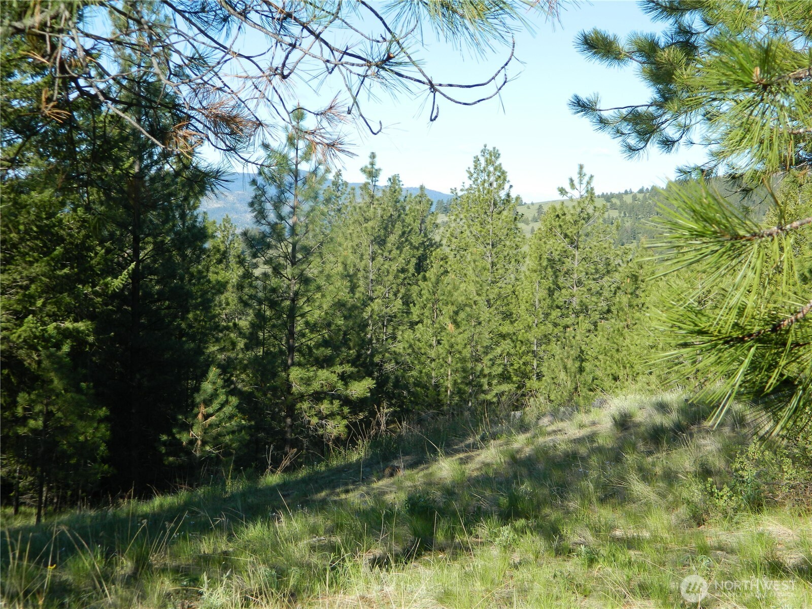151 Indian Mary Loop Road Property Photo 13