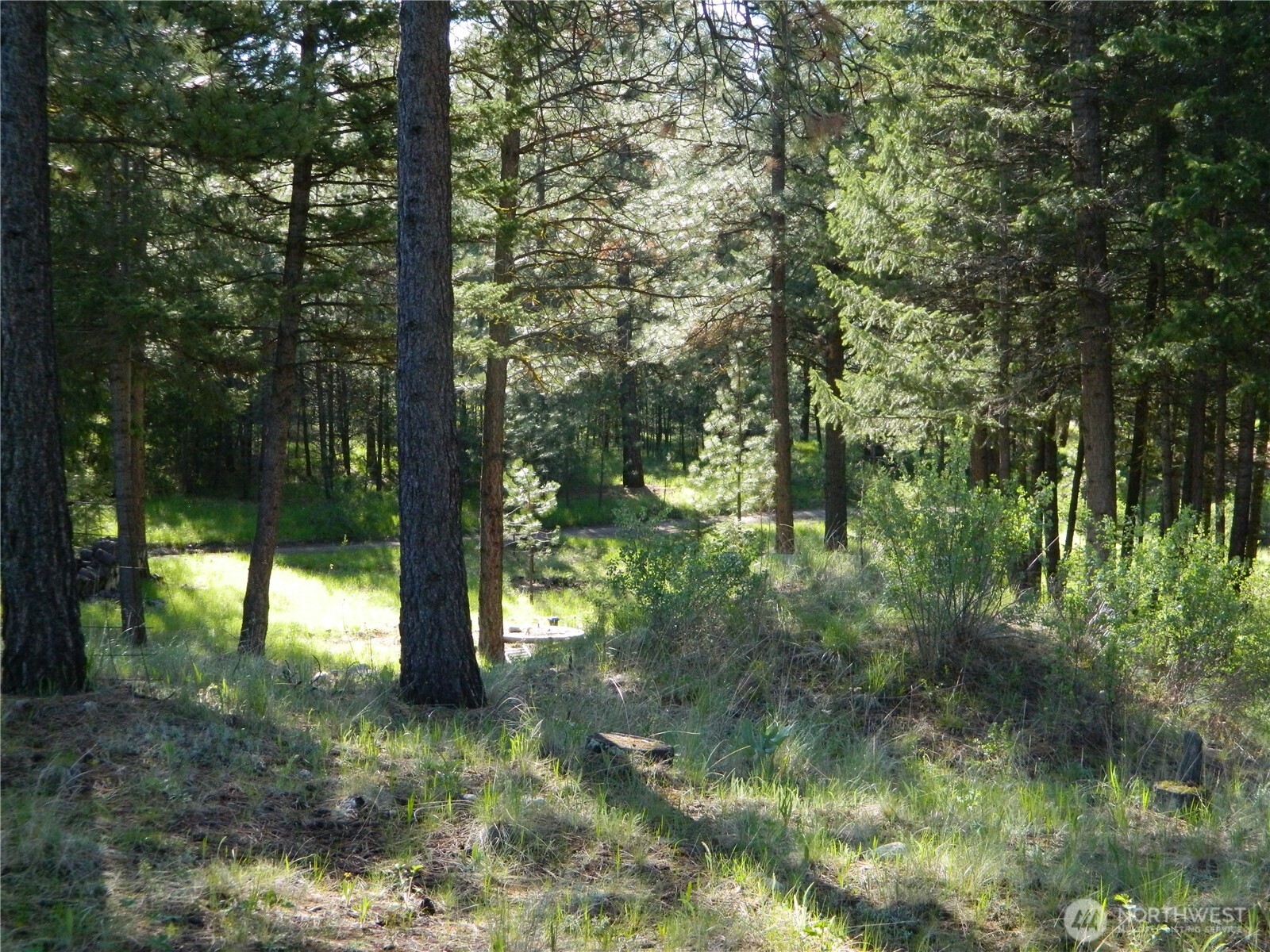 151 Indian Mary Loop Road Property Photo 14