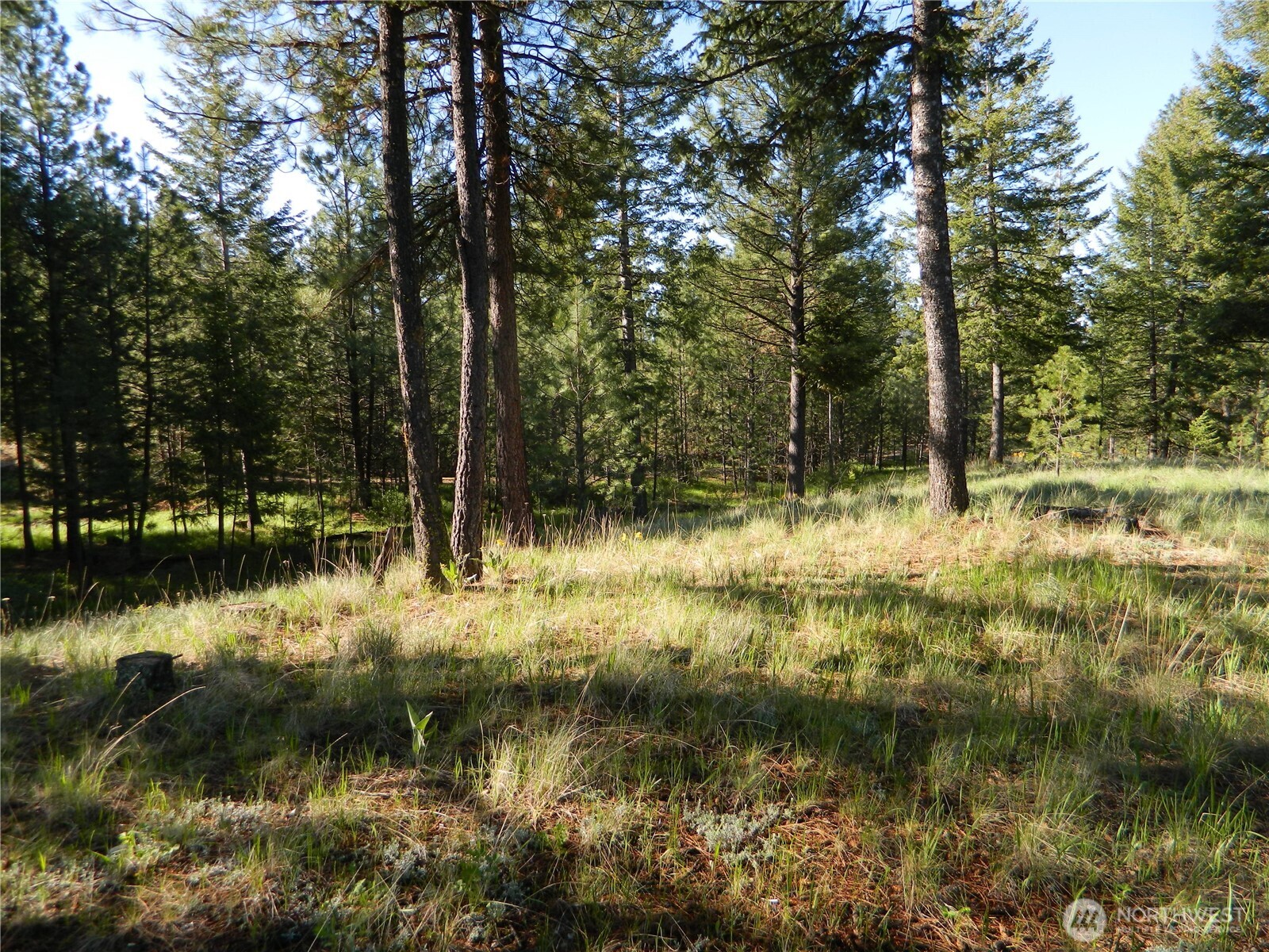 151 Indian Mary Loop Road Property Photo 15