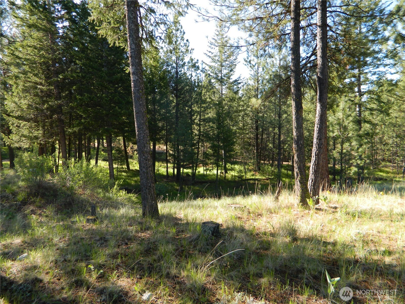 151 Indian Mary Loop Road Property Photo 16
