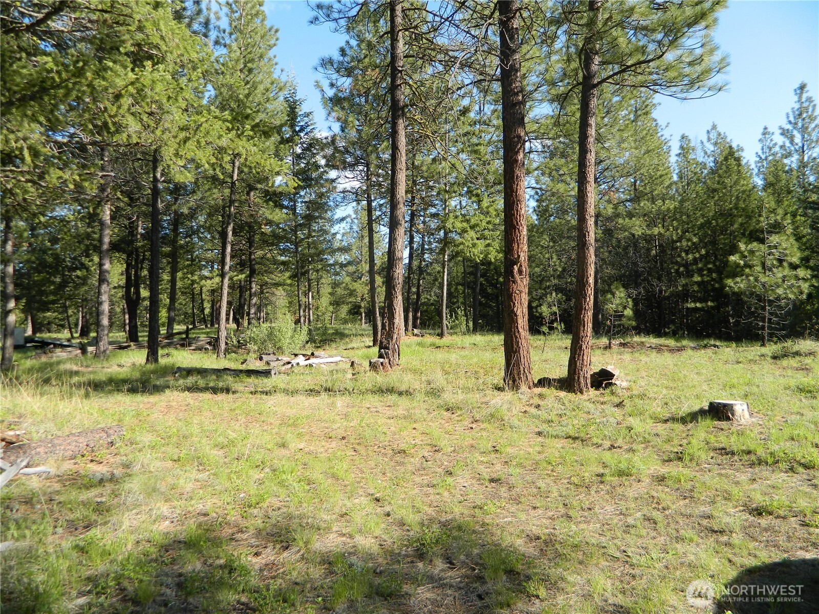 151 Indian Mary Loop Road Property Photo 17