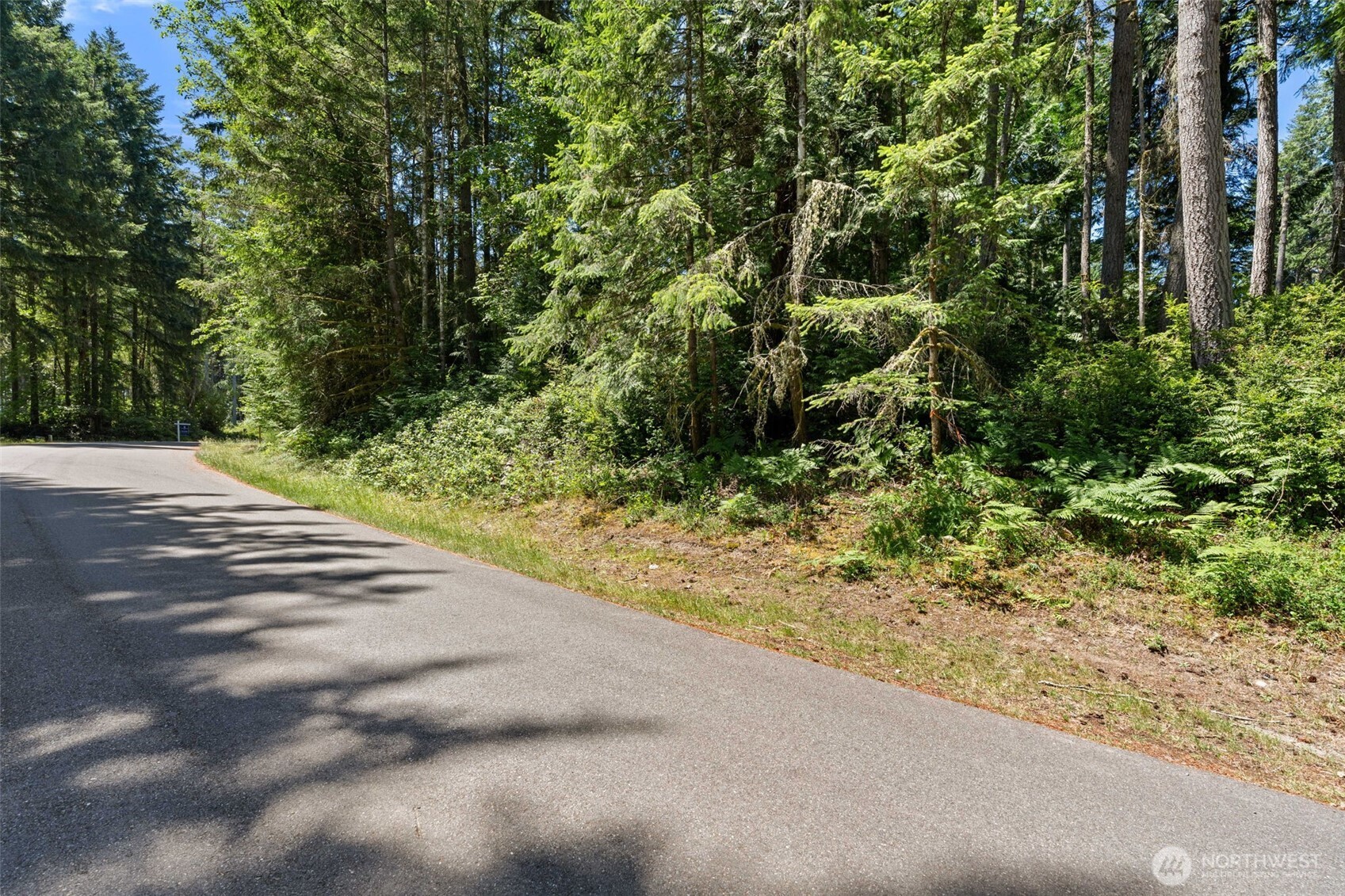 11103 Leschi Circle Property Photo 3