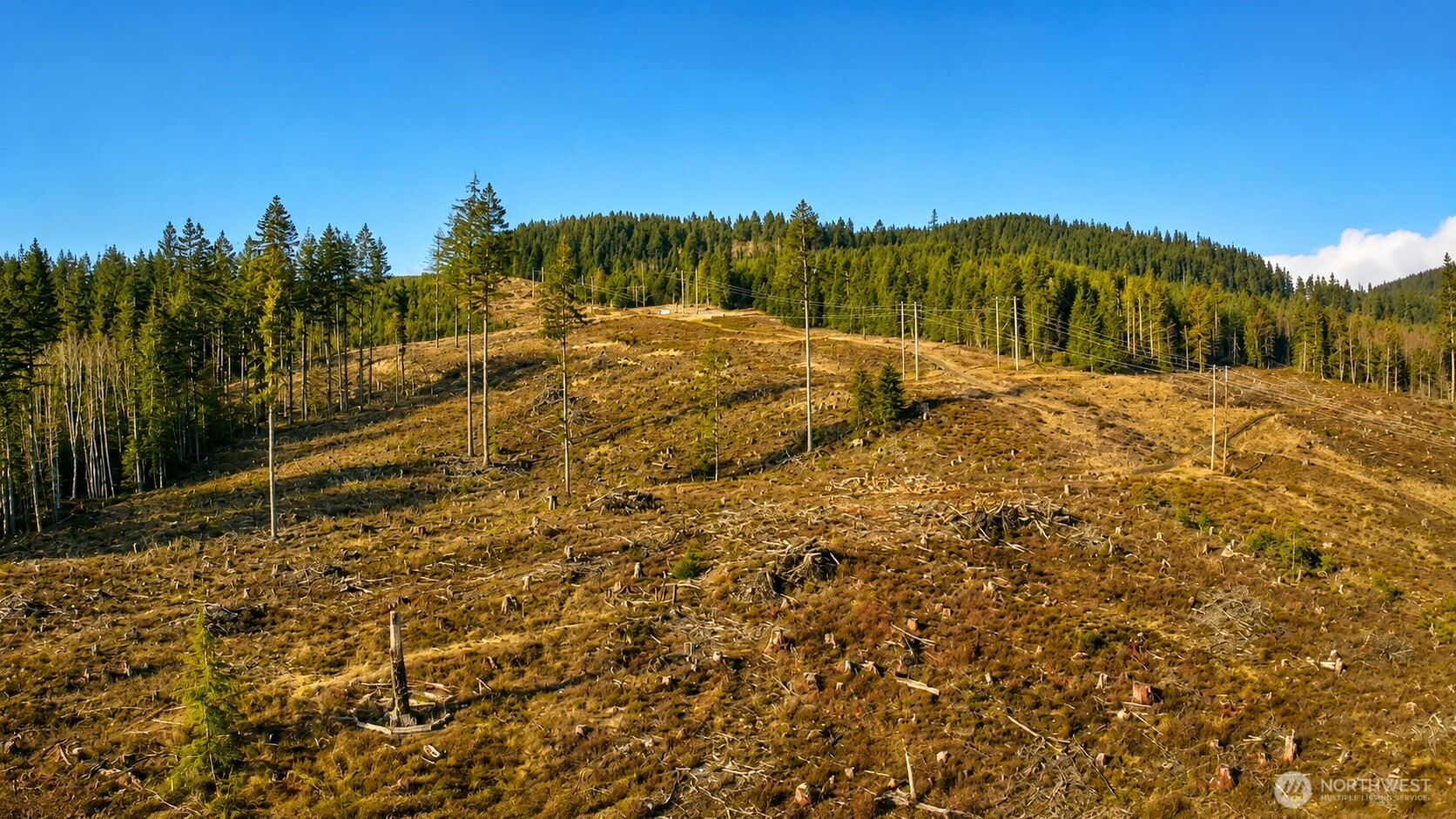 0 B-1000 Road Property Photo 1
