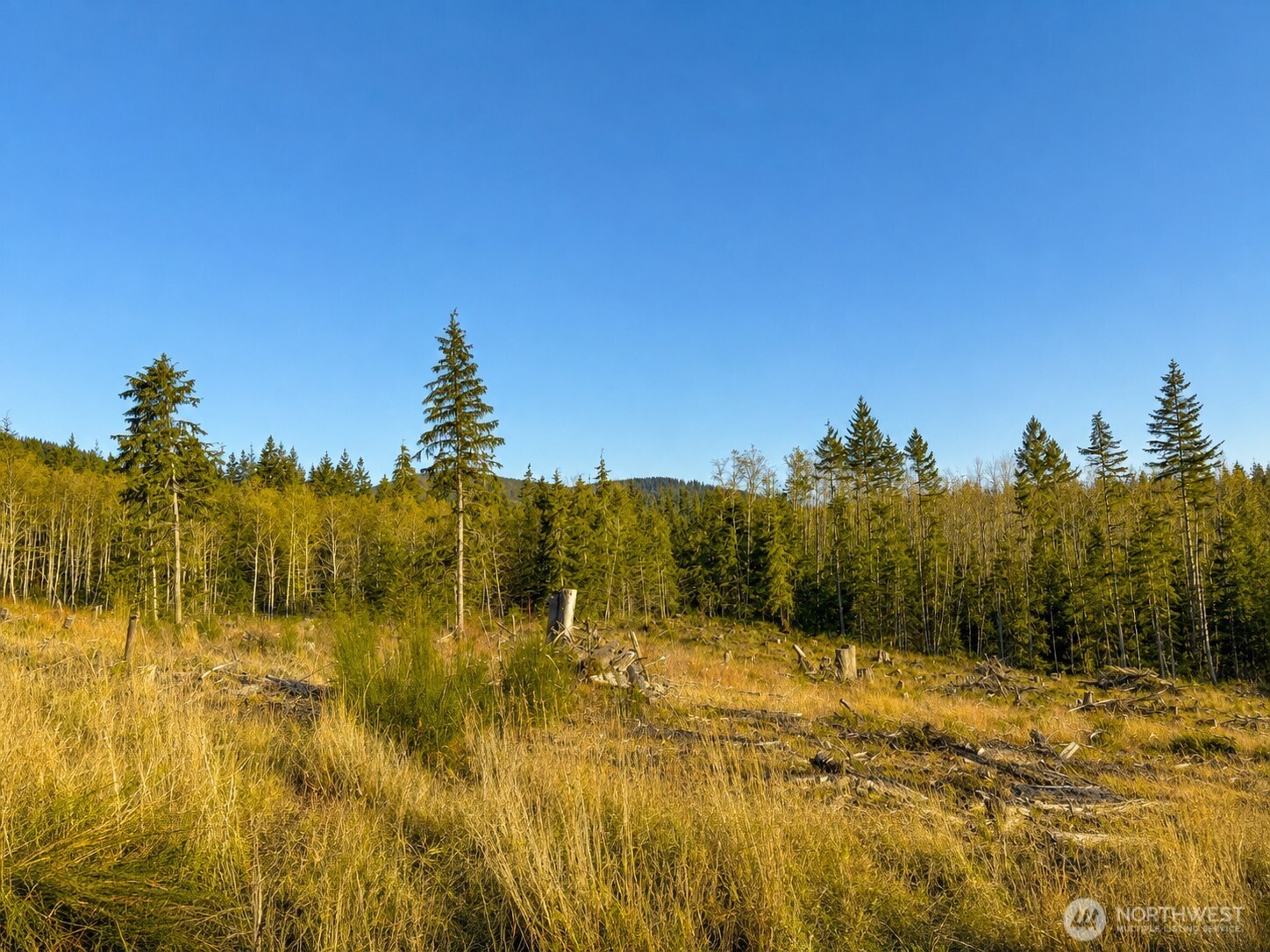 0 B-1000 Road Property Photo 2