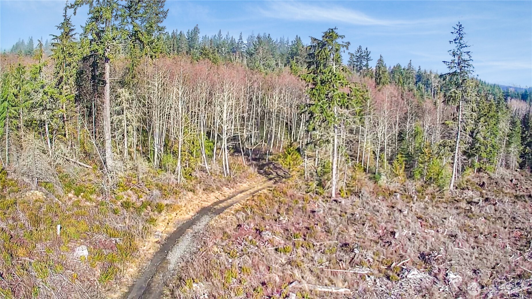 0 B-1000 Road Property Photo 8