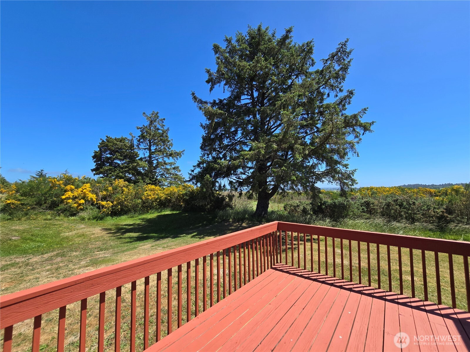 509 E Pacific Avenue Property Photo 9
