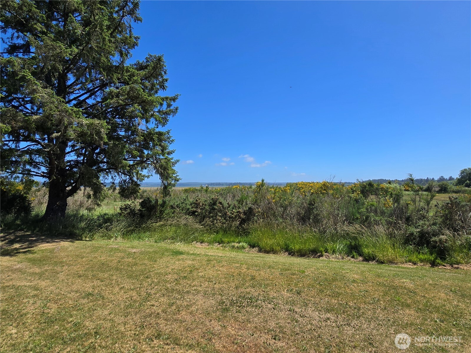509 E Pacific Avenue Property Photo 10