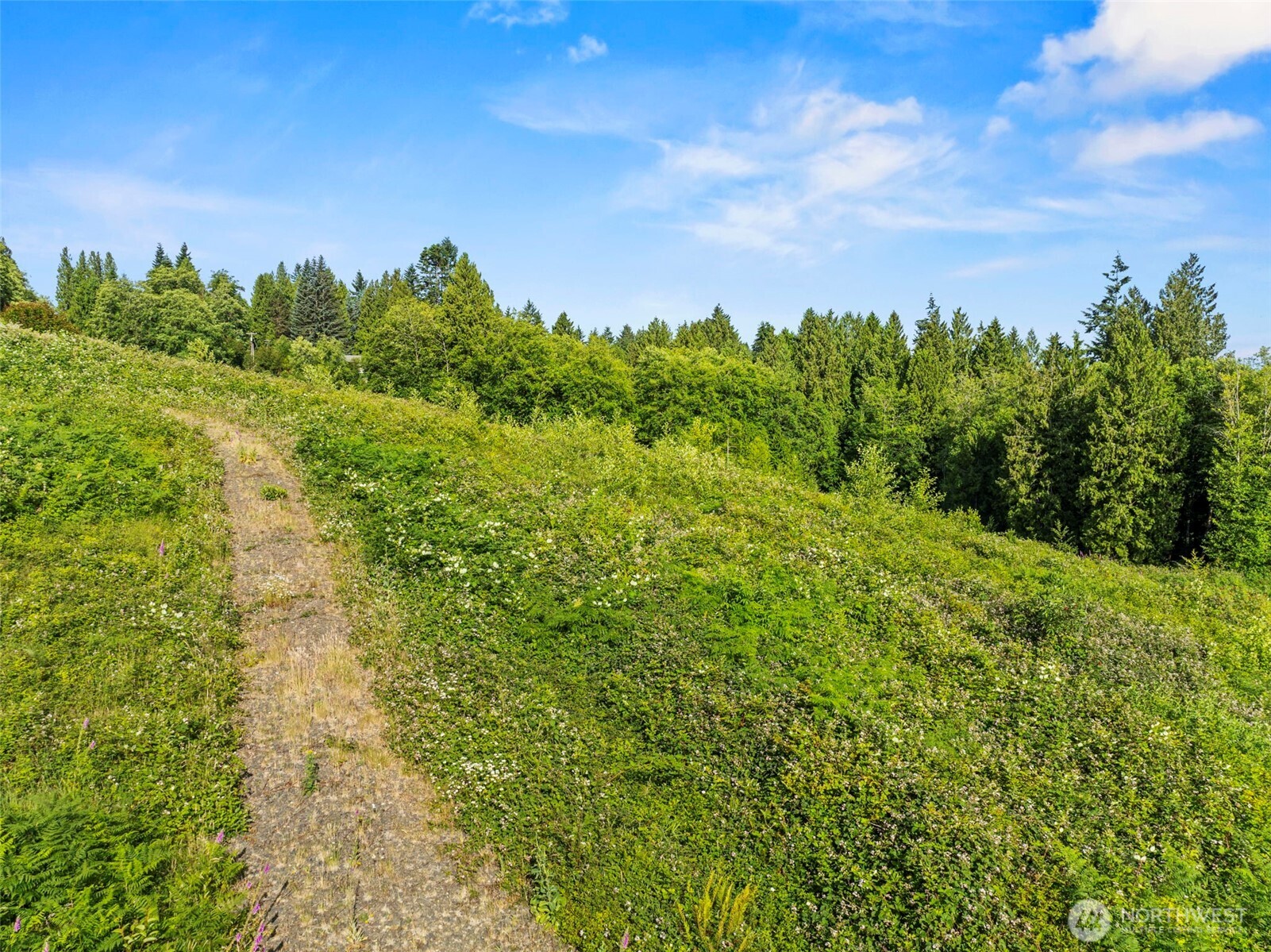 1015 Lone Oak Road Property Photo 6