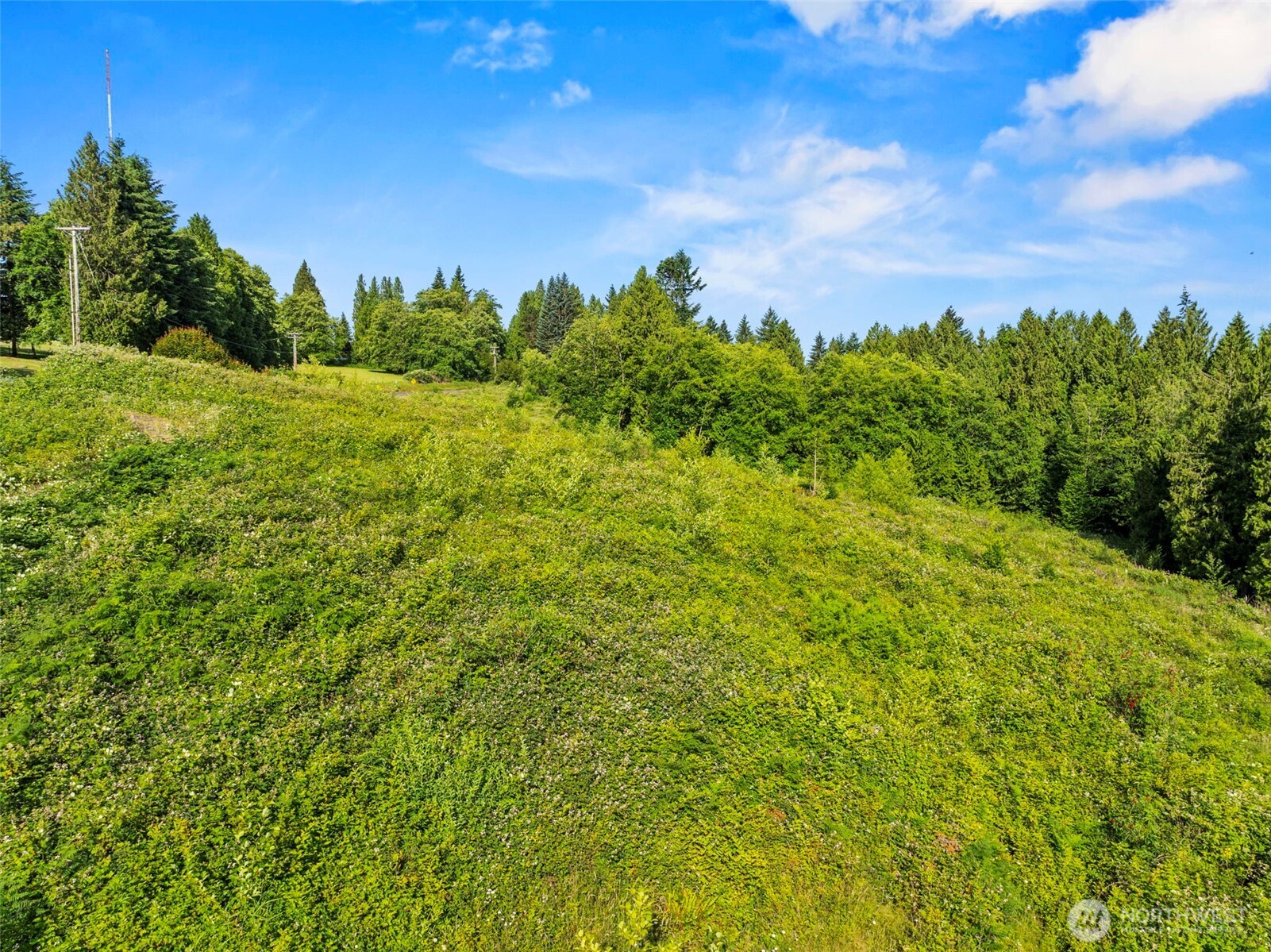 1015 Lone Oak Road Property Photo 15