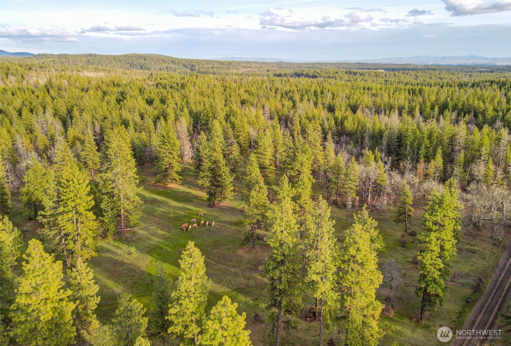 0 Lot 15 Greyback Mt Road Property Photo 1