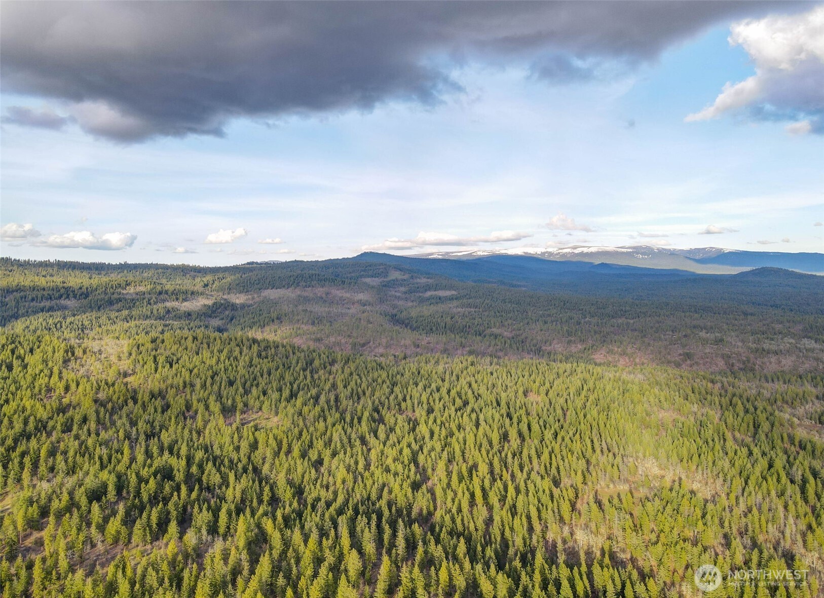 0 Lot 15 Greyback Mt Road Property Photo 2