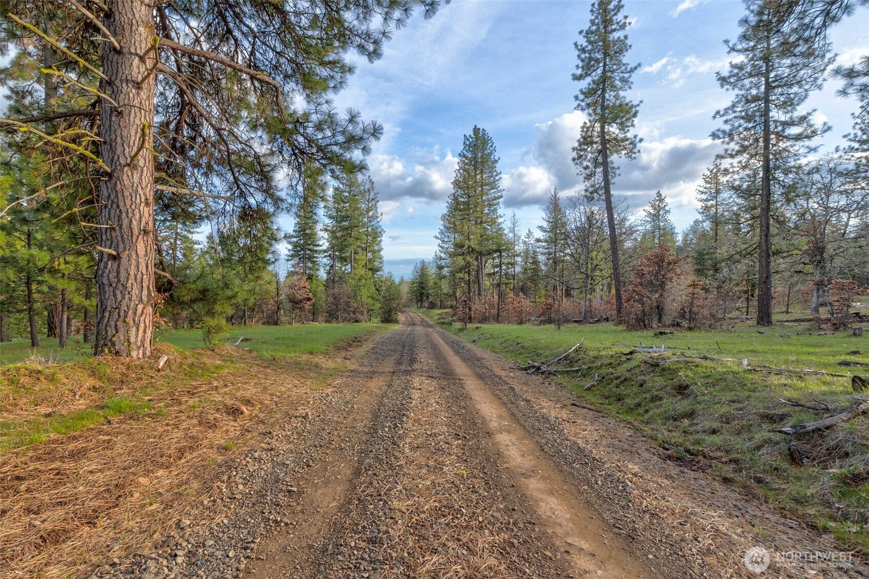 0 Lot 15 Greyback Mt Road Property Photo 3
