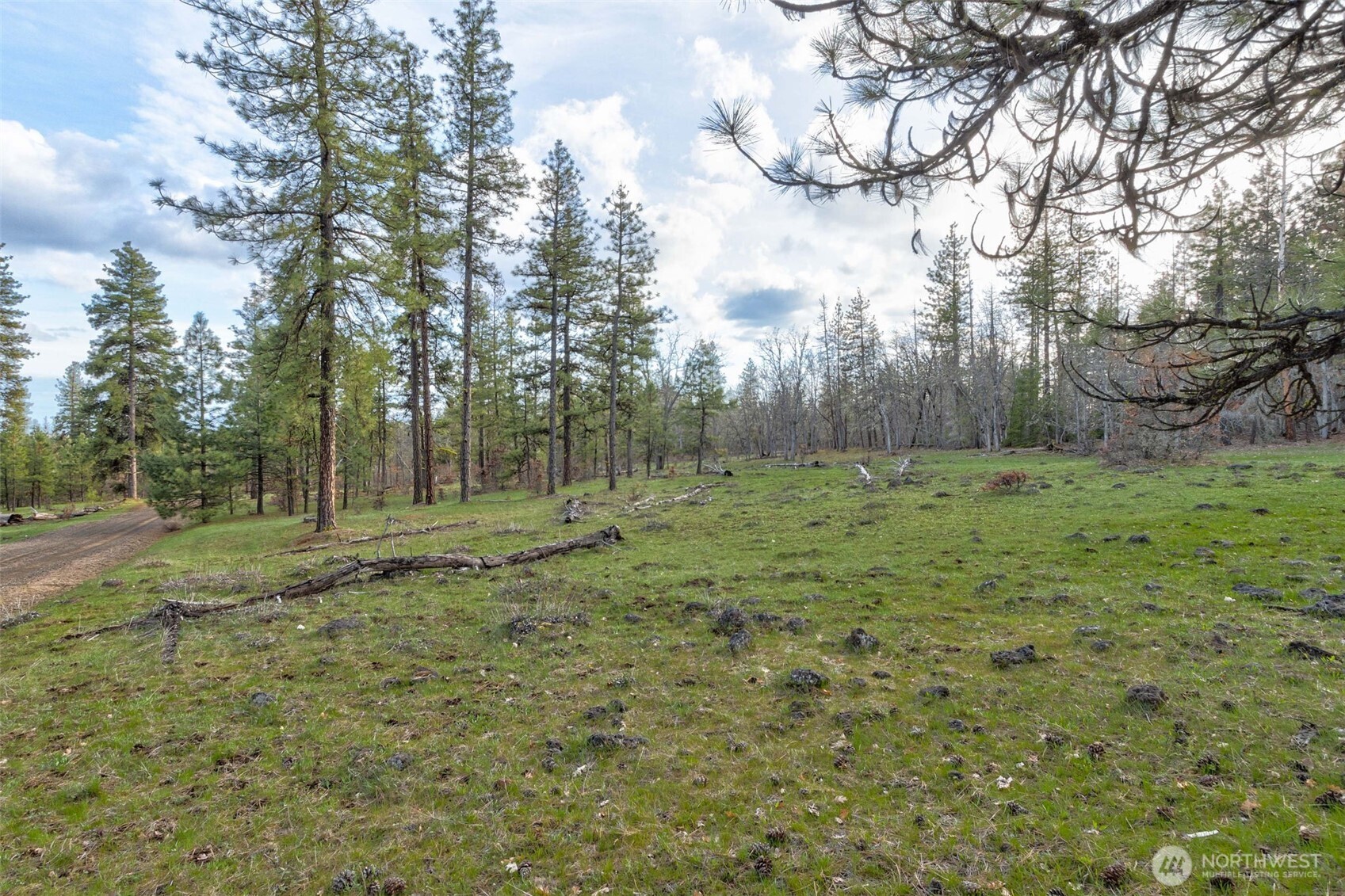 0 Lot 15 Greyback Mt Road Property Photo 4