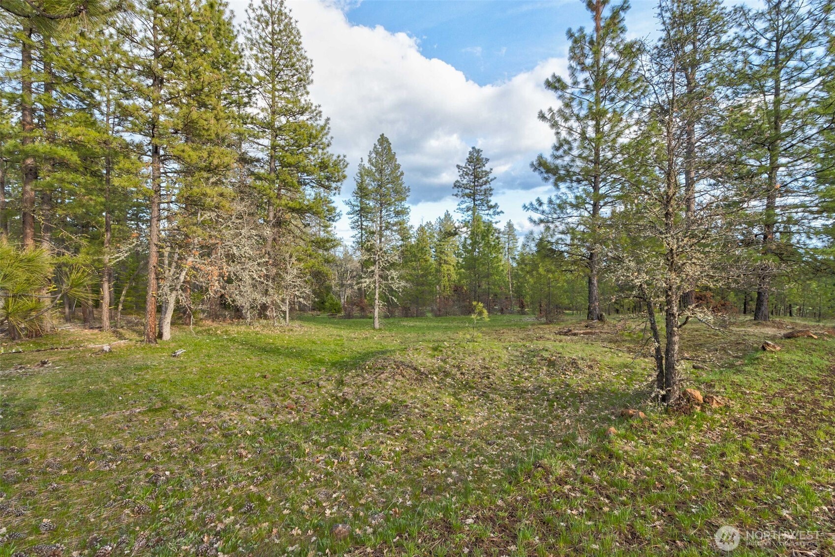 0 Lot 15 Greyback Mt Road Property Photo 5