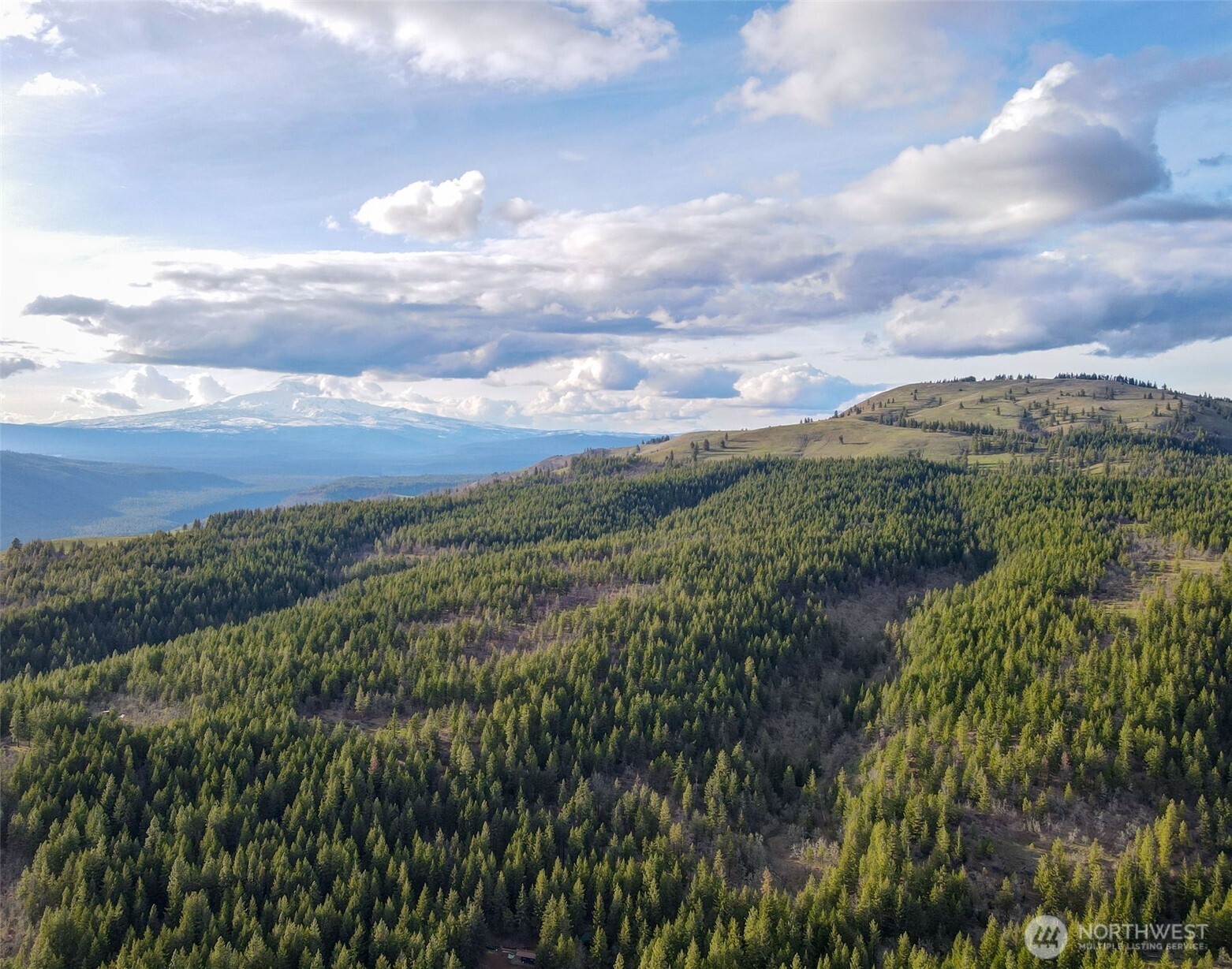 0 Lot 15 Greyback Mt Road Property Photo 6