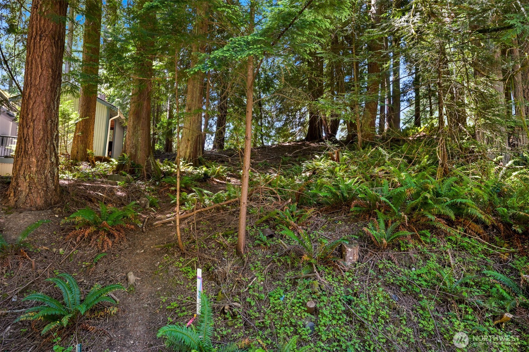 30 Canyon Court Property Photo 13